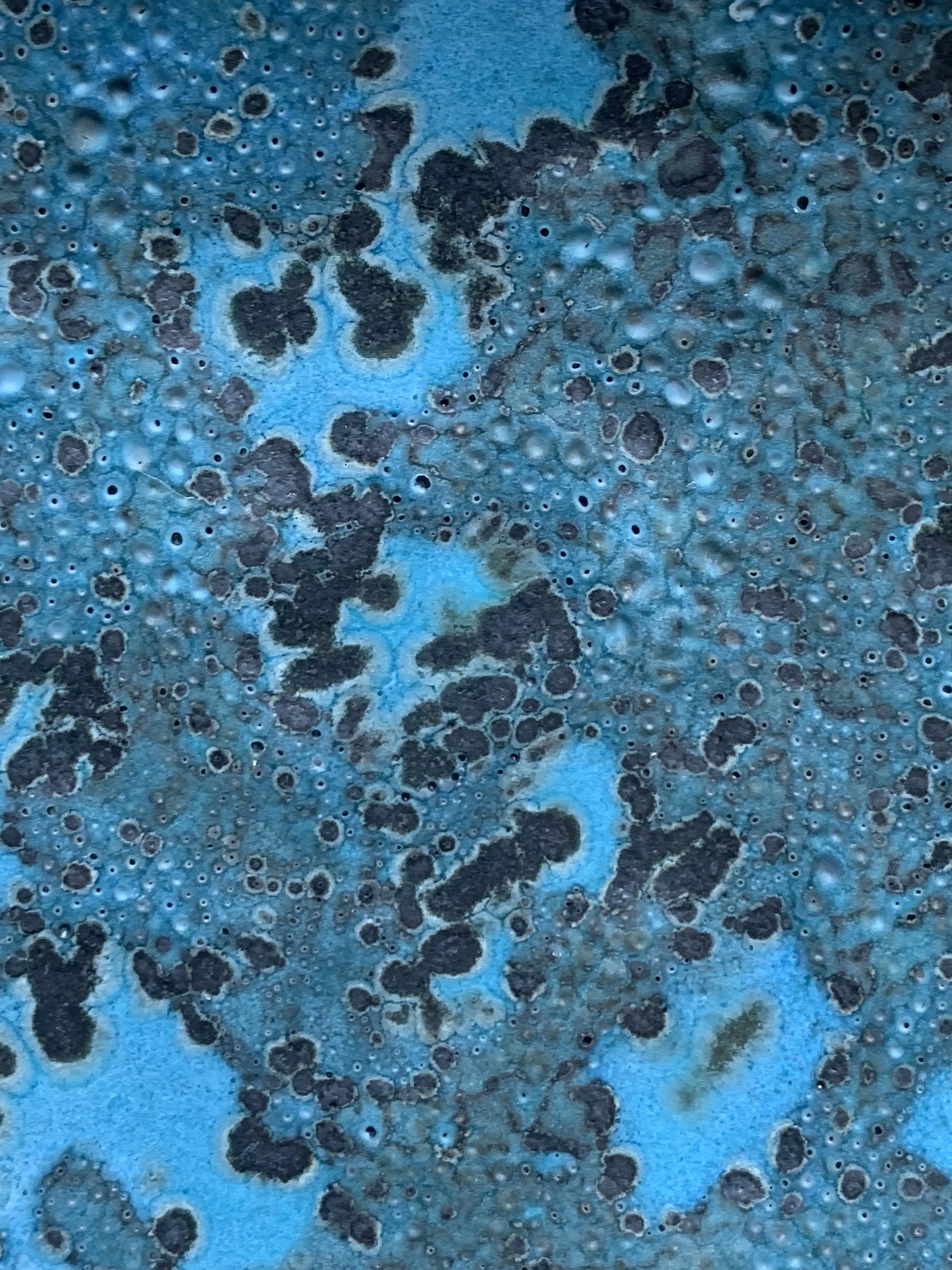 A close-up of a textured surface with a blue background and irregular black and brown spots, resembling a microscopic view or abstract art.