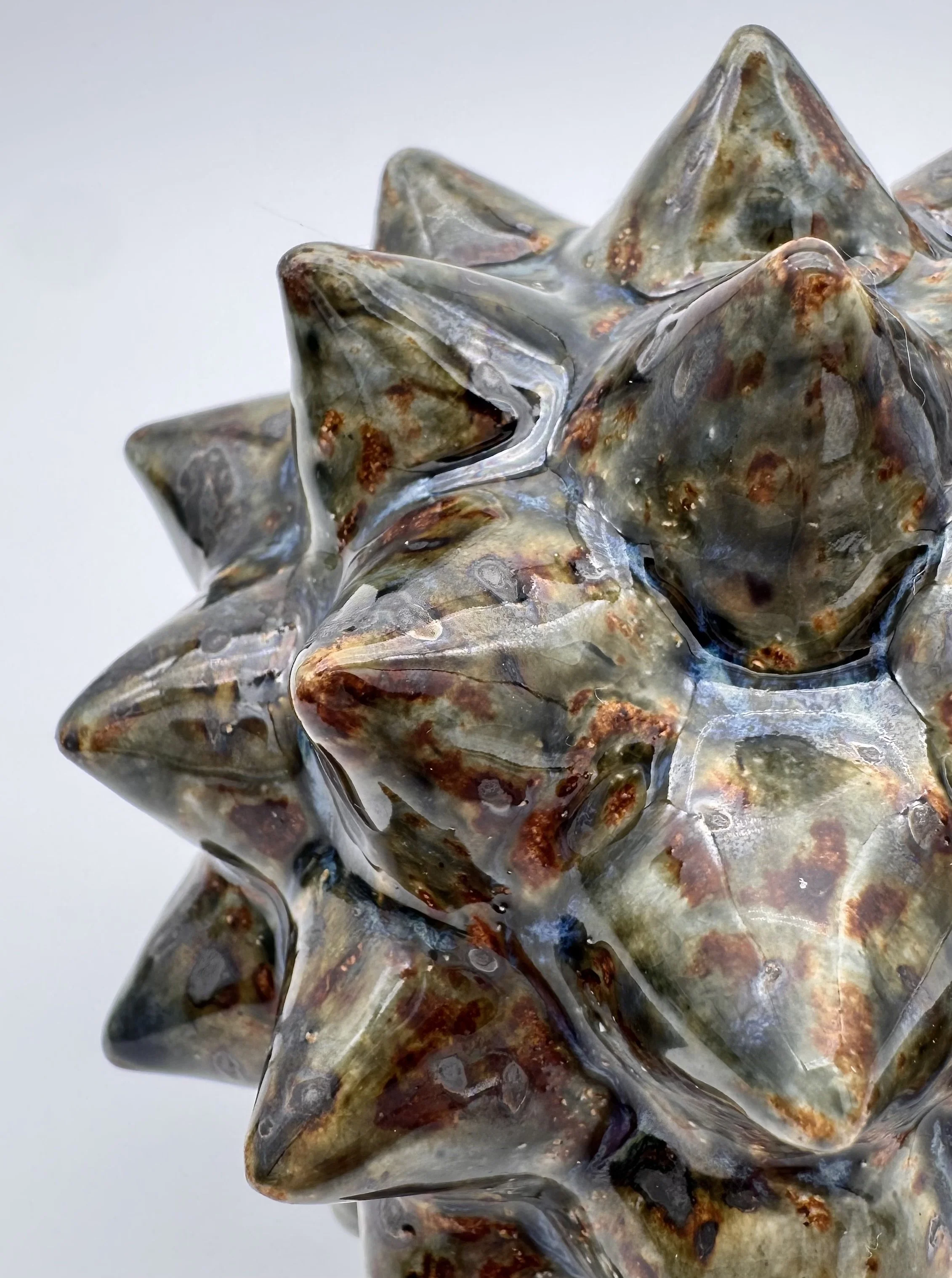 Close-up of a cluster of barnacle-covered rocks with shiny, wet surfaces.