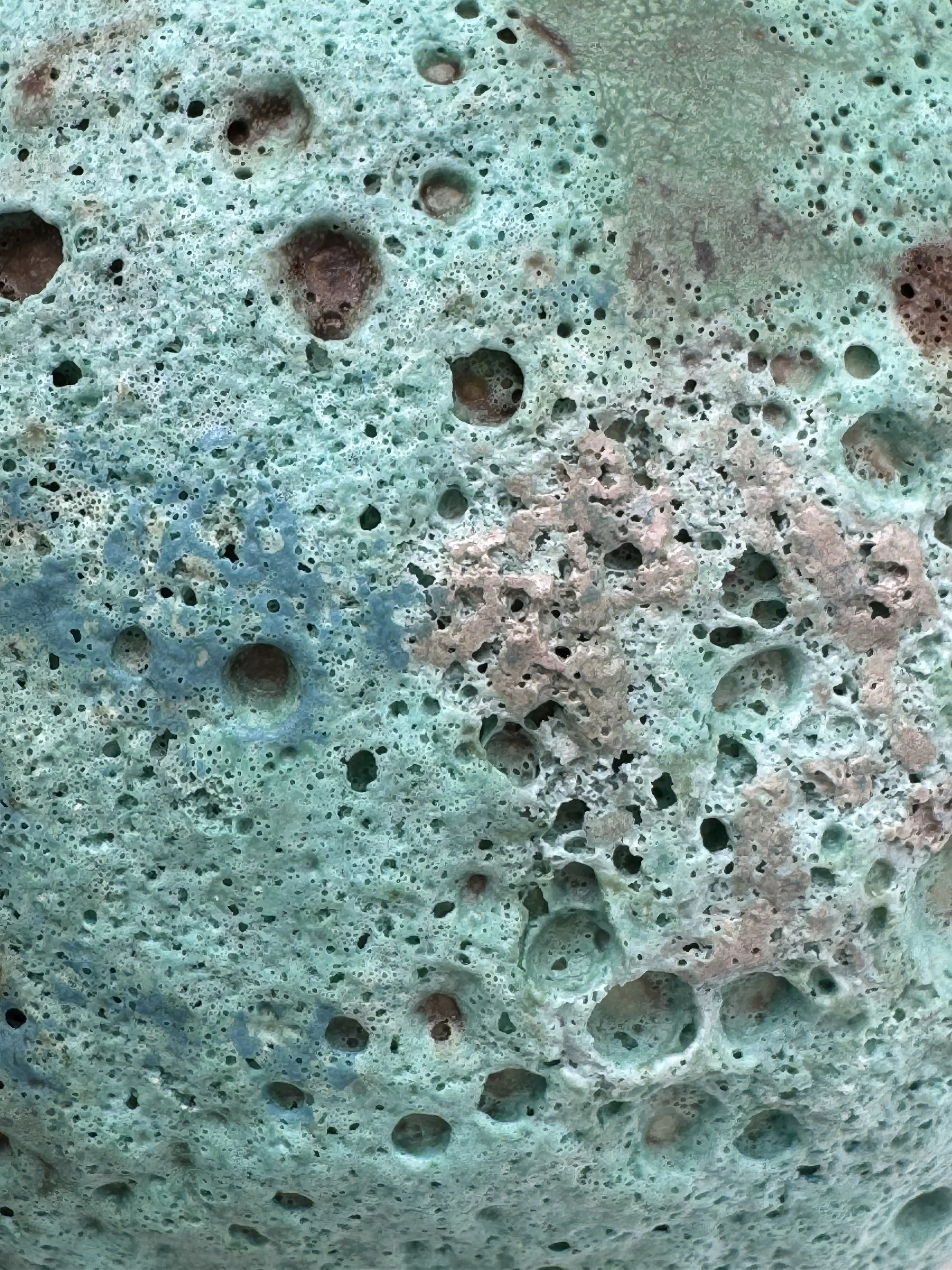 Close-up of a porous, textured surface that appears to be a natural sponge or coral formation with multiple small holes and a rough surface.