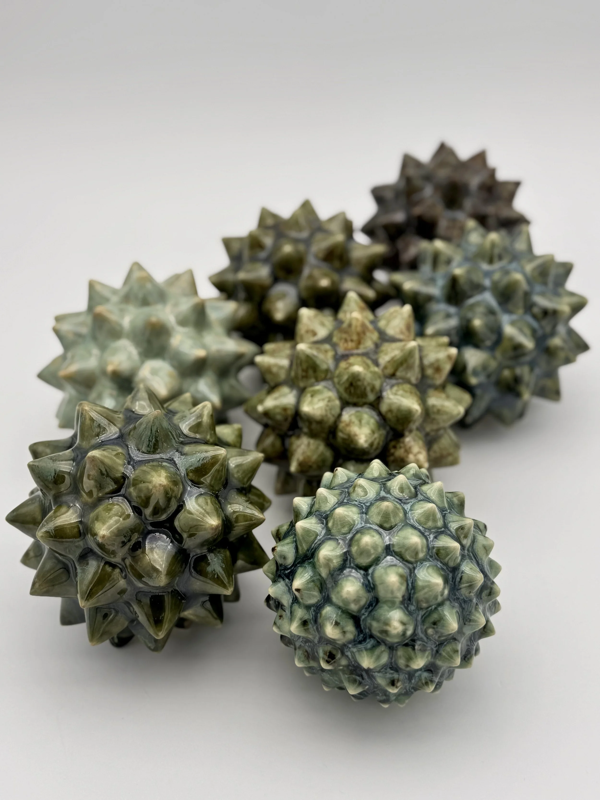Close-up of several spiny, textured objects with a star-shaped pattern, in shades of green, gray, and black, arranged on a white surface.
