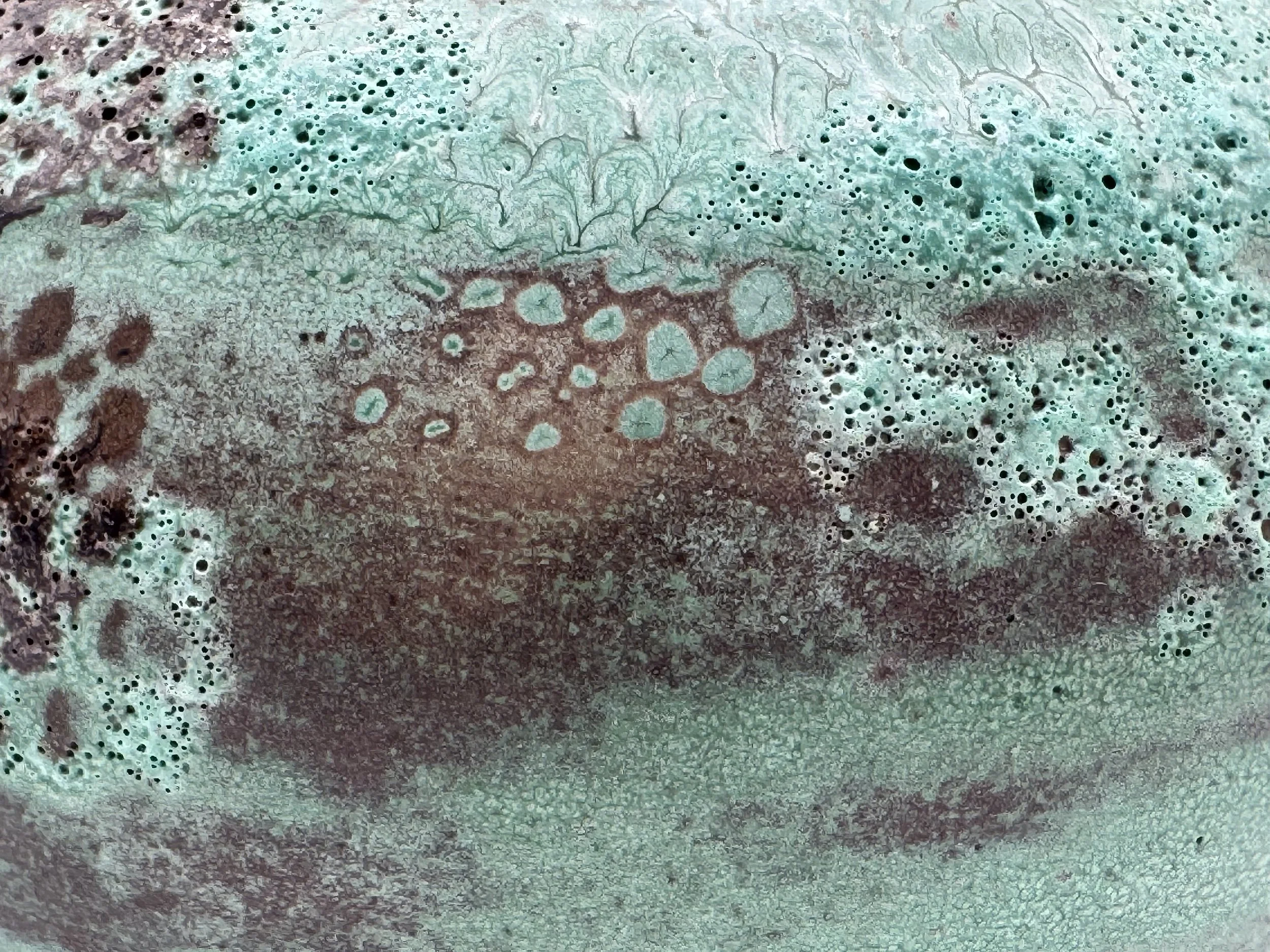 Close-up image of a greenish, textured surface with black dots and a crackled pattern.