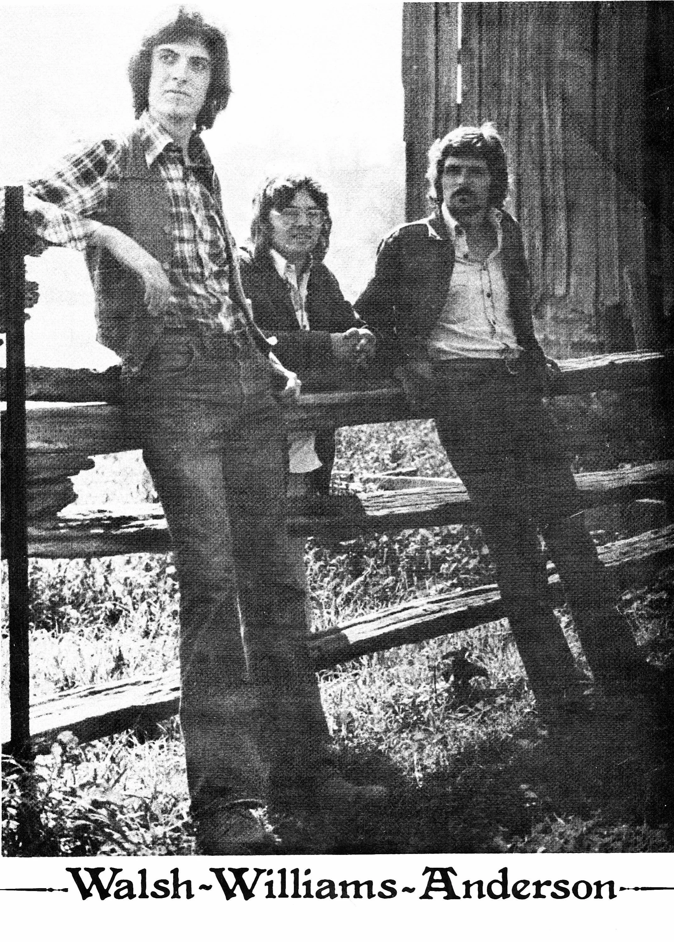 Black and white vintage photo of four men standing and sitting outdoors with trees and grass in the background. The photo appears grainy and old. The text at the bottom reads 'Walsh-Williams-Anderson.'