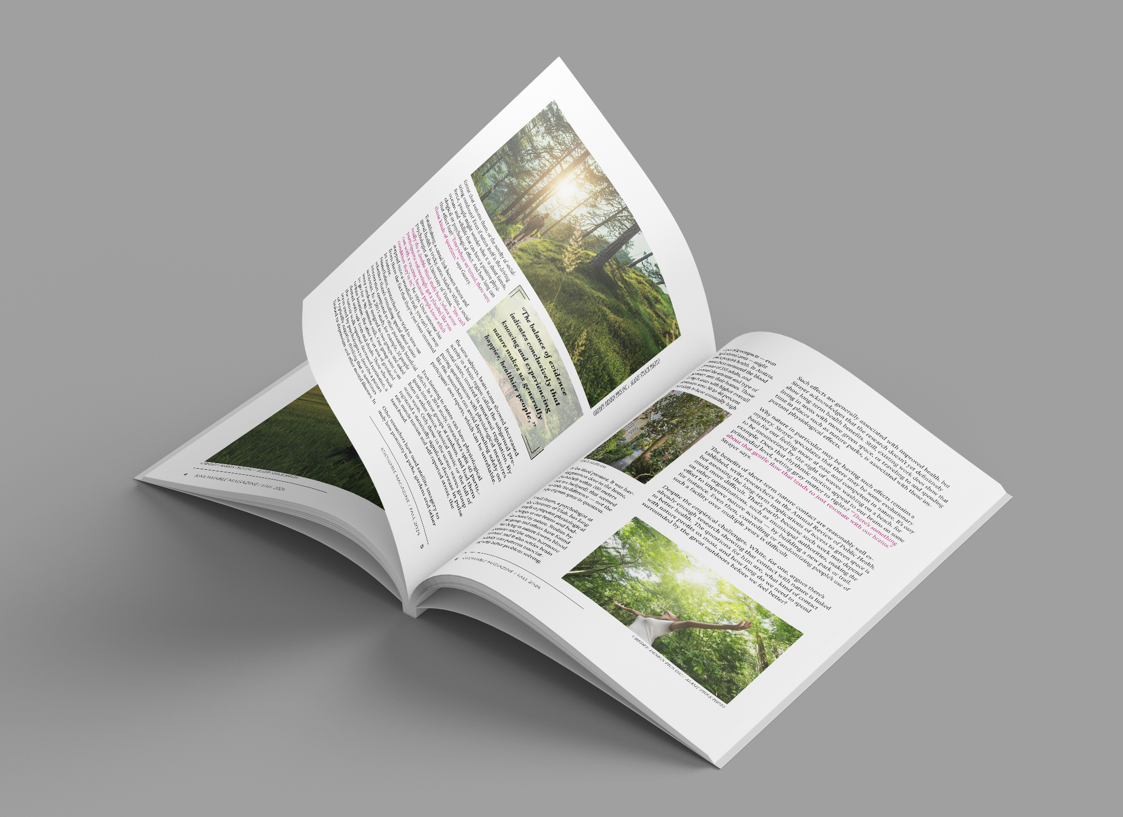 magazine page 2.png
