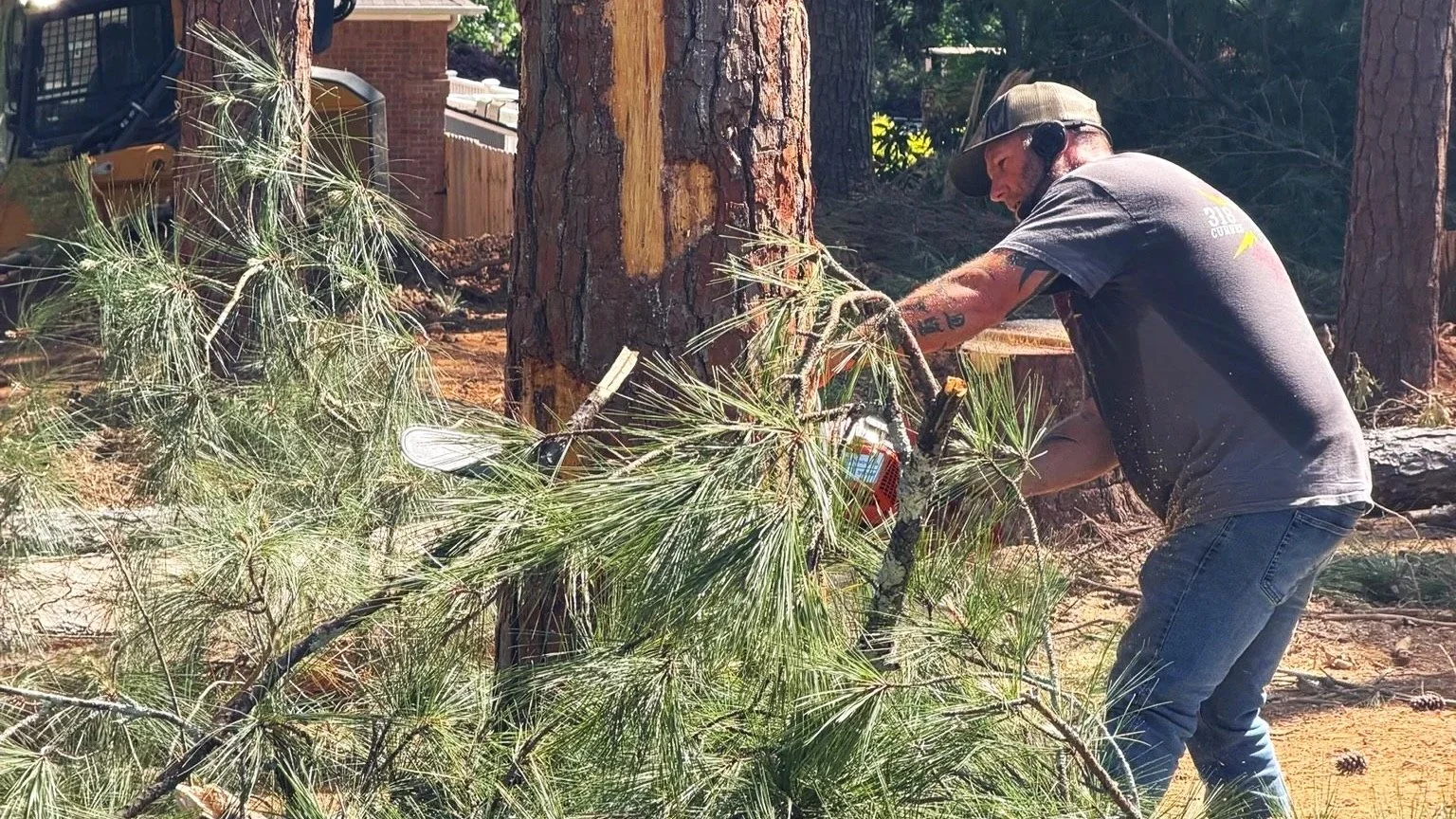 Man with chainsaw cutting down tree