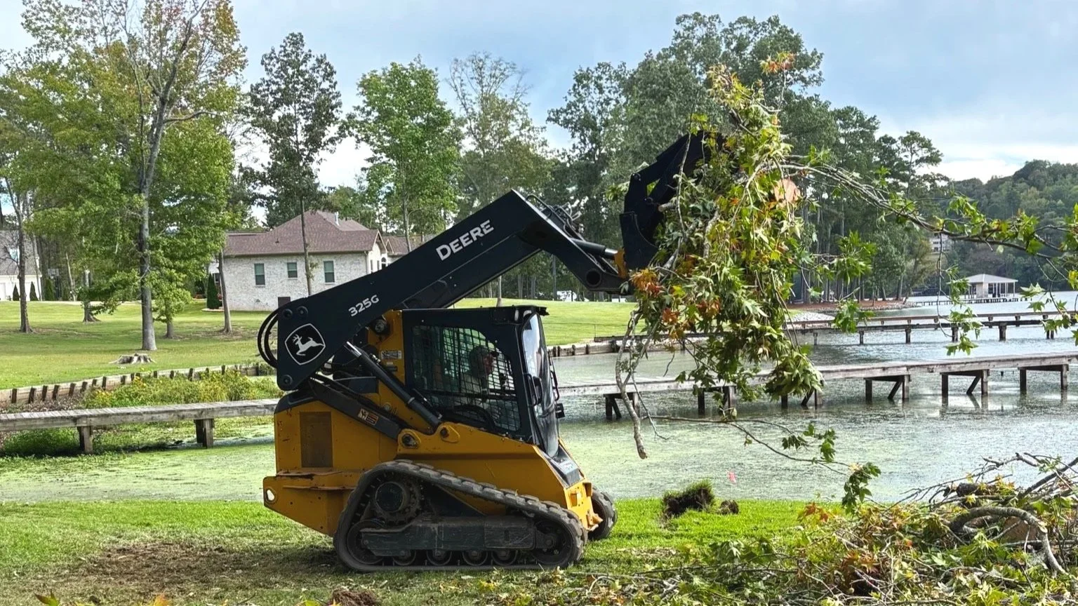 Track loader / skid steer cleaning up cut trees and brush