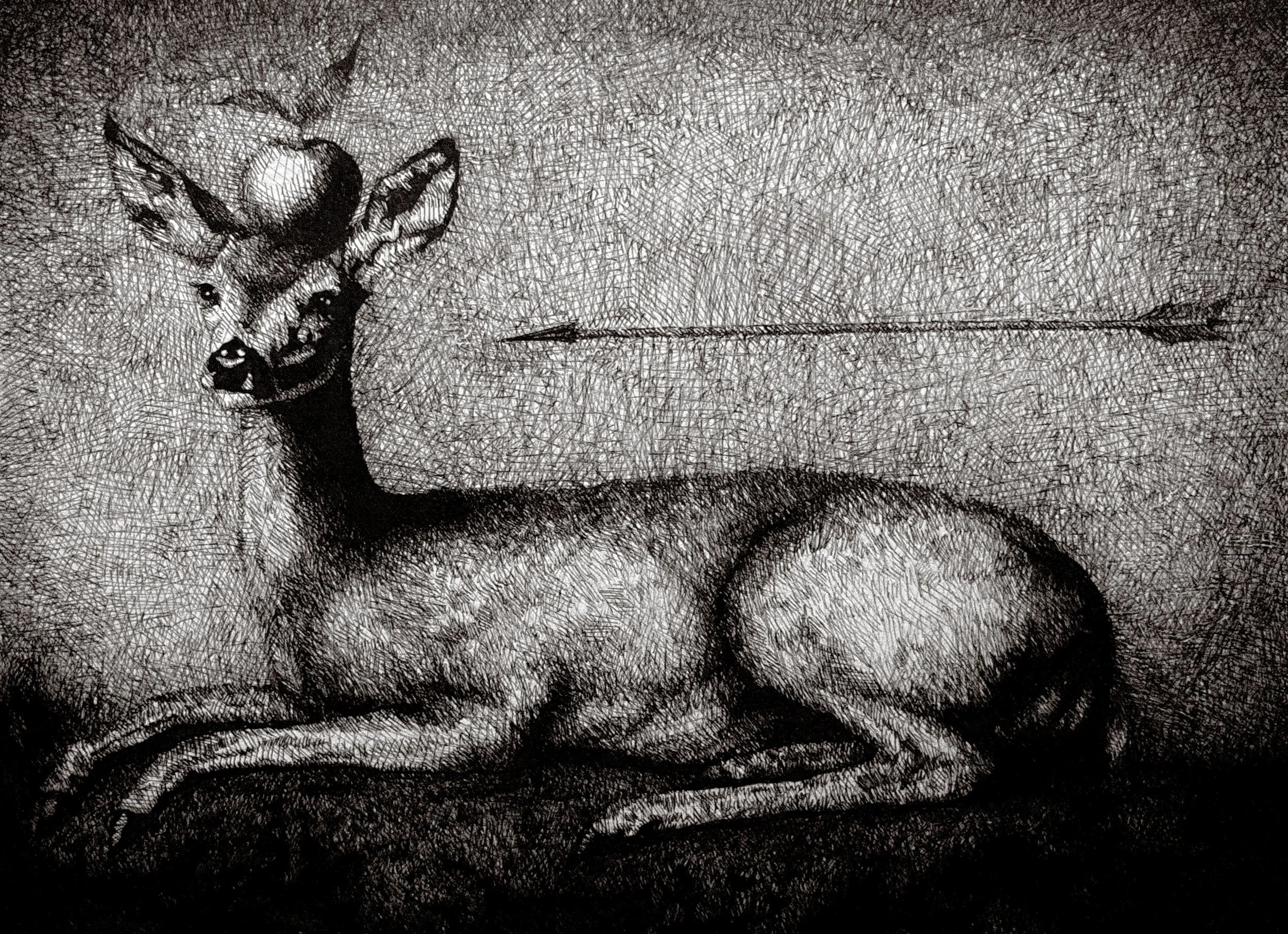 "Fruits of Vulnerability", Pen Drawing on Archival Paper, 9"x12"