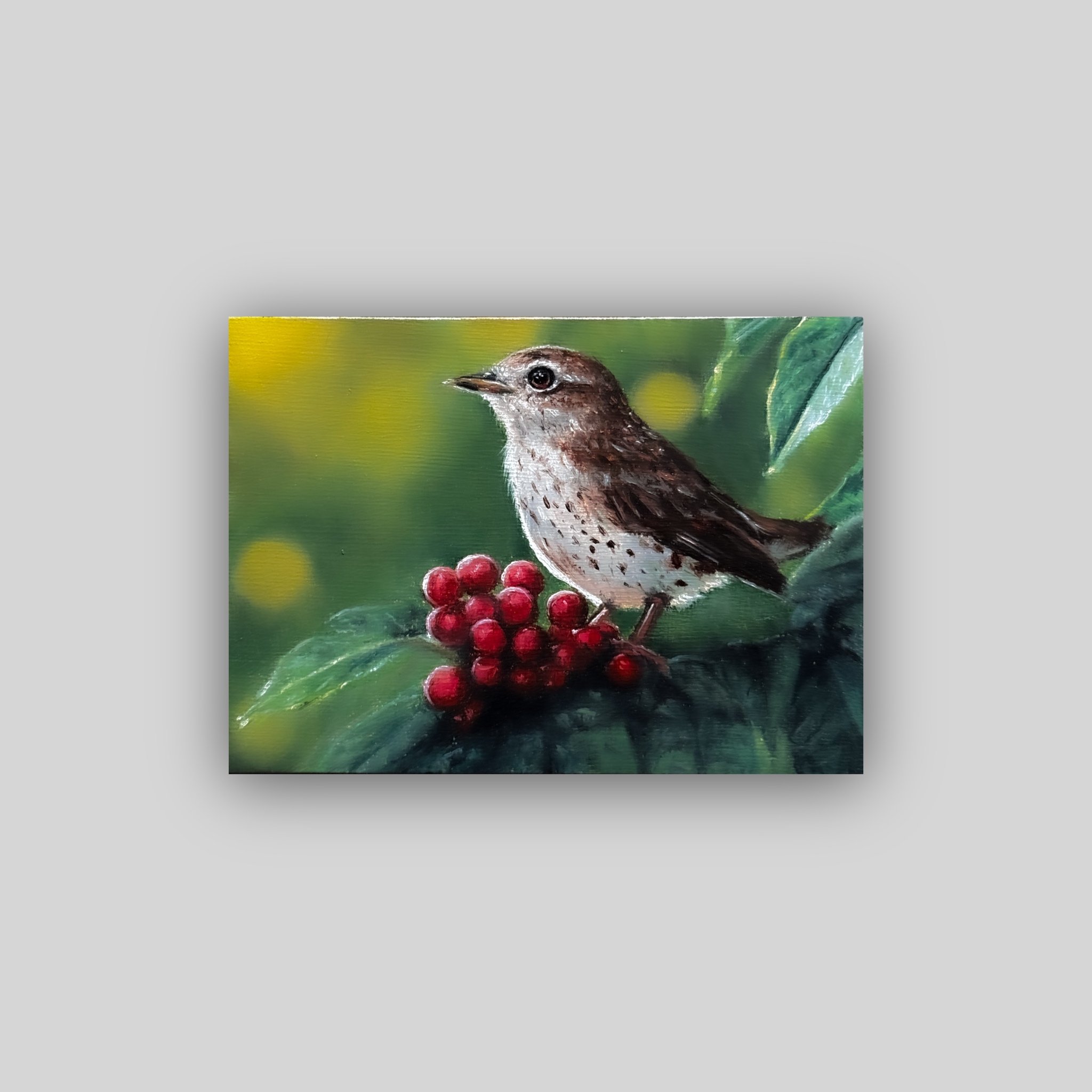 Trevor Robertson - "Study of an American Nightingale"