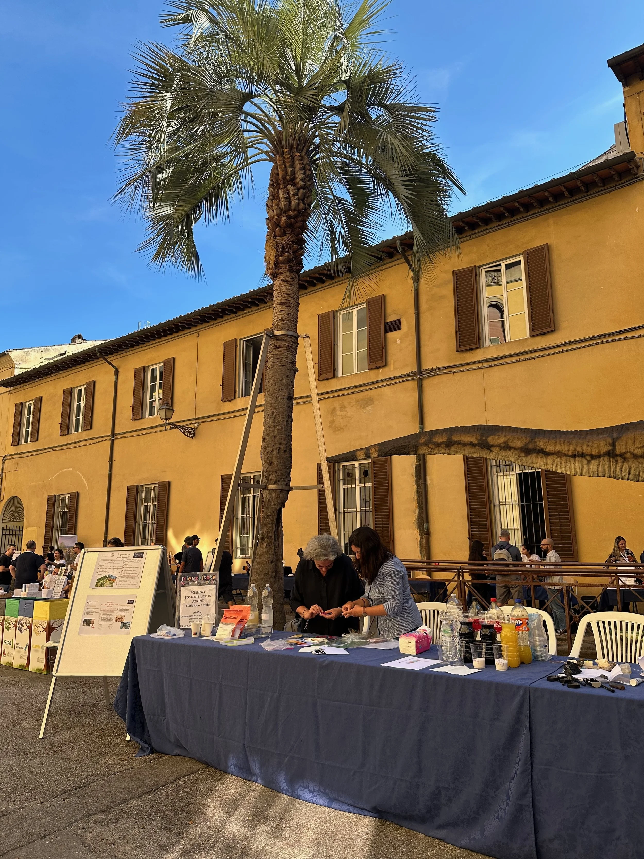 Stand con persone che discutono e distribuiscono materiale informativo all'aperto davanti a un edificio giallo con finestre a persiana marrone, sotto un albero di palma in una giornata di sole.