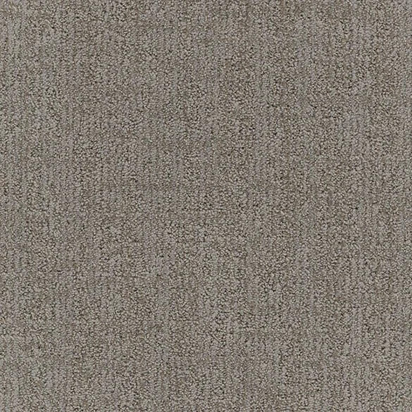 Gray Whisper.jpeg