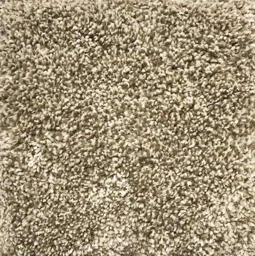 NextFloor Broadloom Carpet Pashima Series