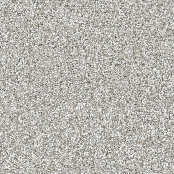 Dove Feather.jpeg