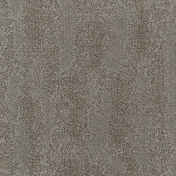 Gray Whisper.jpeg