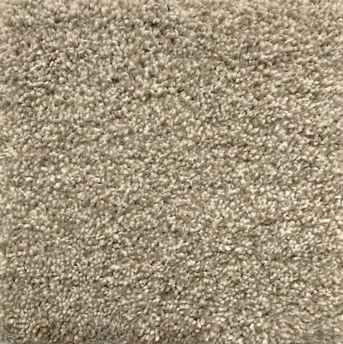 Angora.jpeg