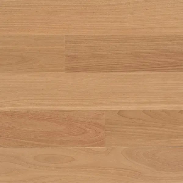 Brazilian Oak.jpeg