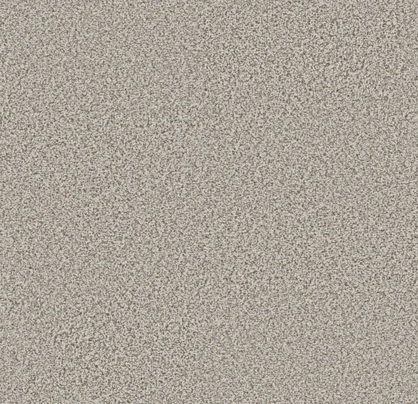Blizzard Fog.jpeg