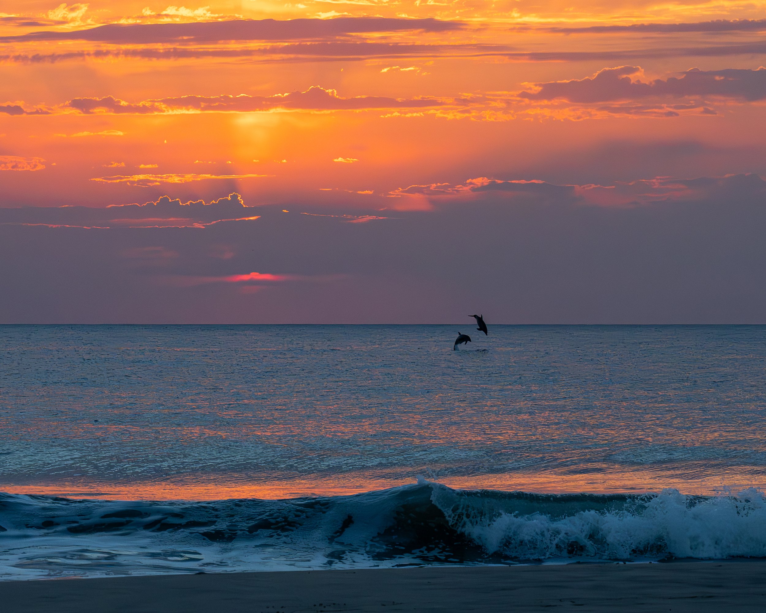 Dalphin Sunrise (1 of 1).JPG
