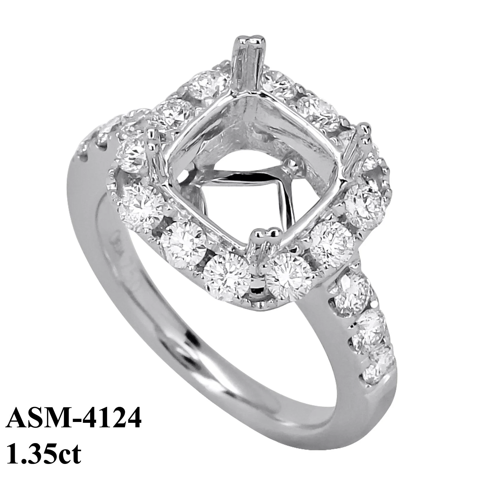 ASM-4124 (2).jpg