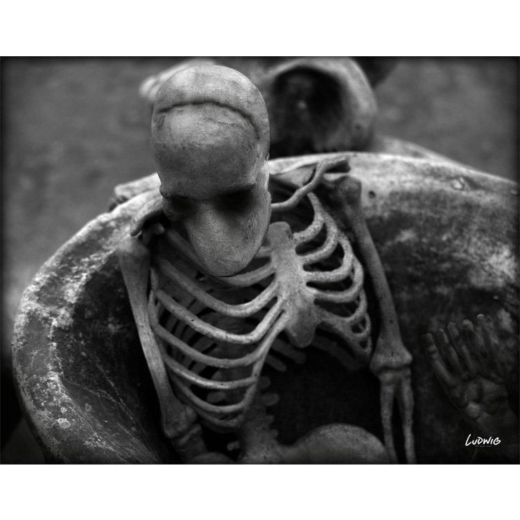 Bones