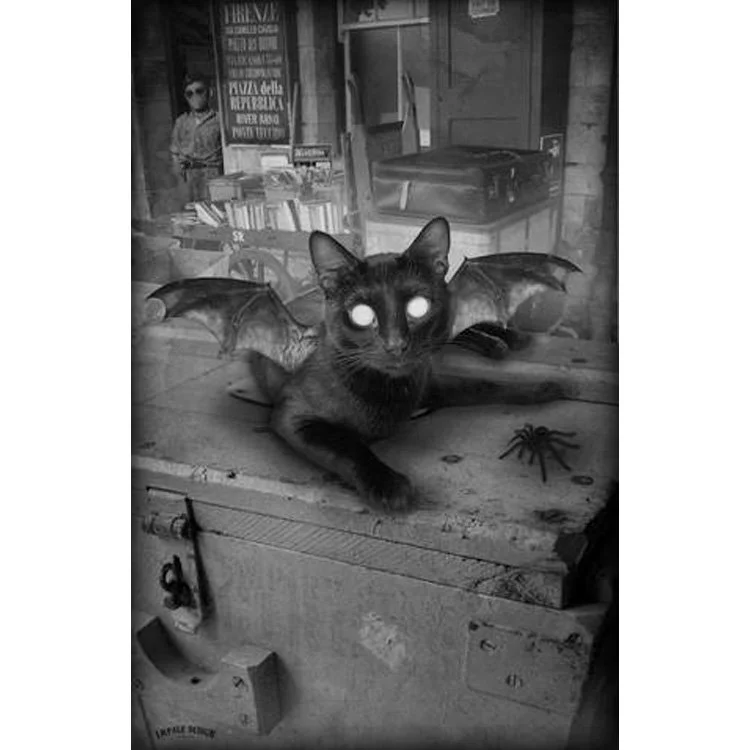 Kitty Bat