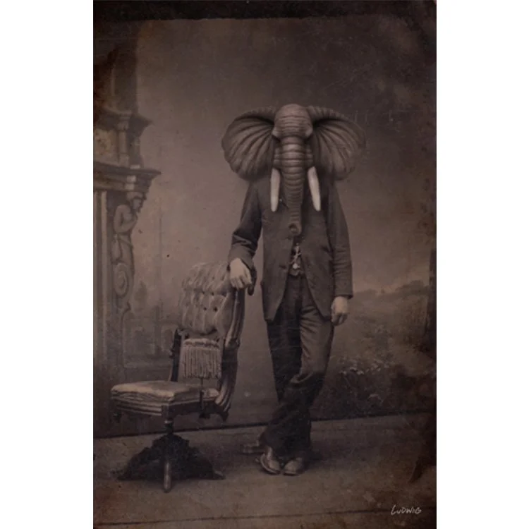 Elephant Man