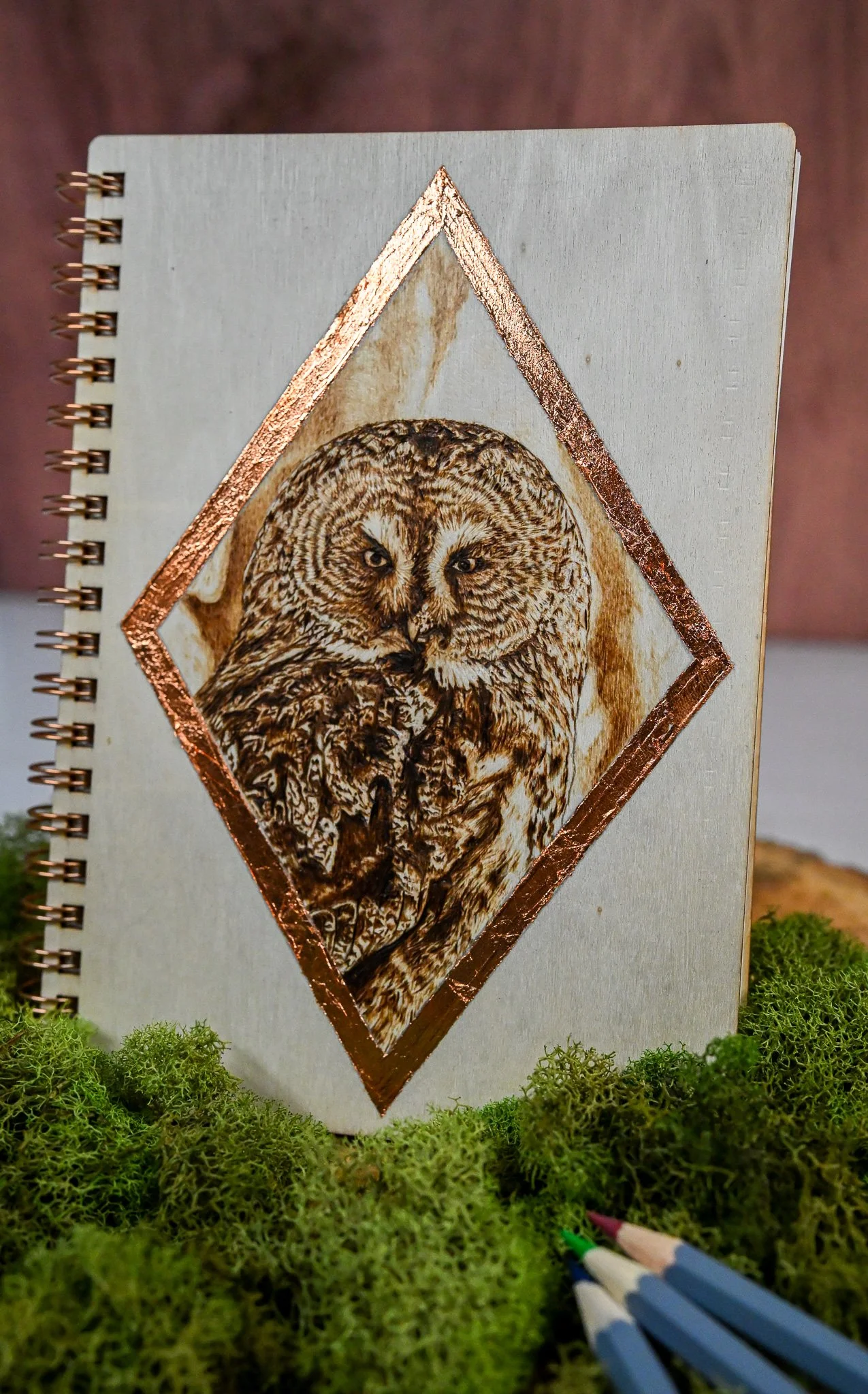 Chouette Lapone Sketchbook