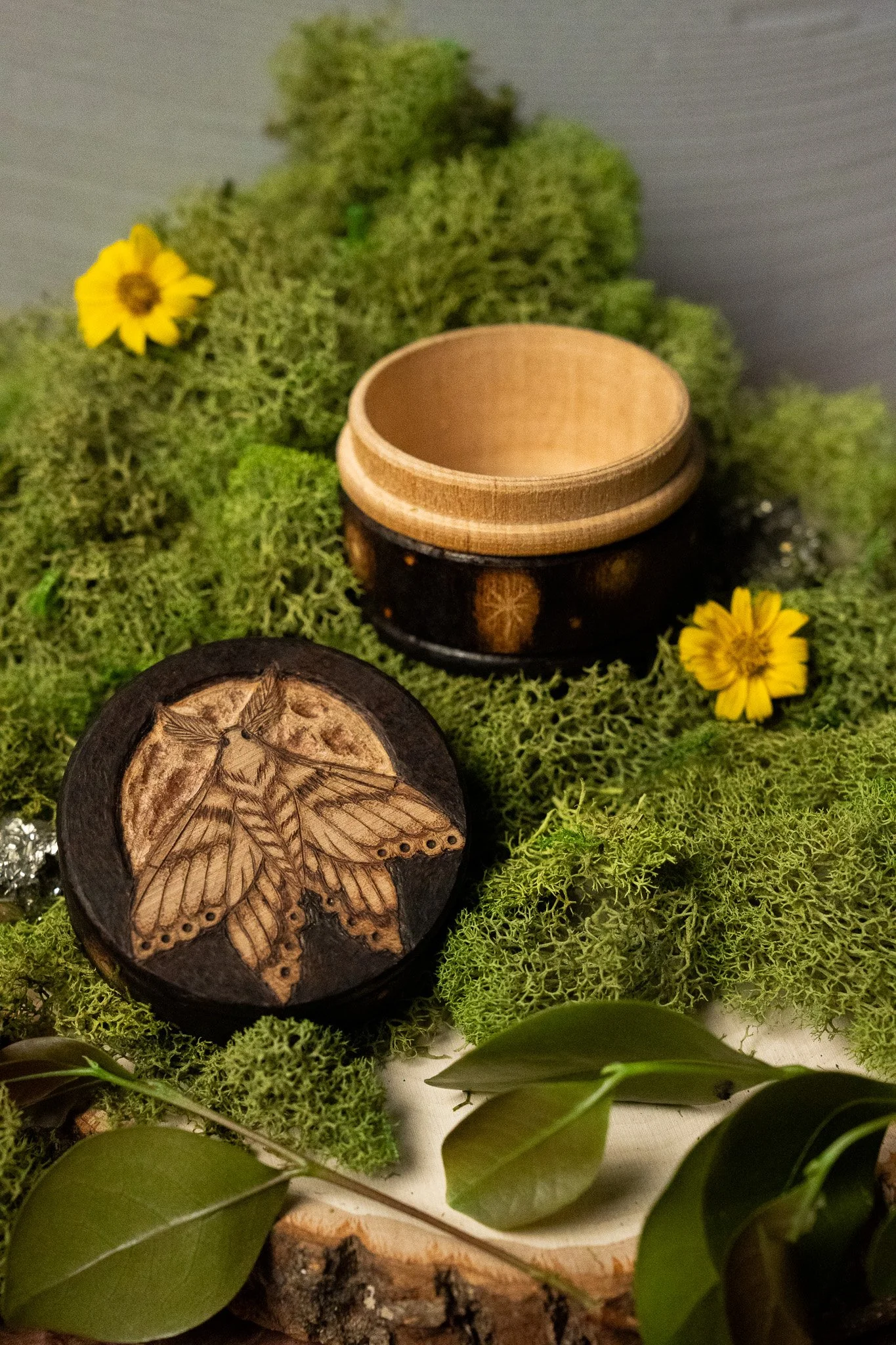 Moonlit Moth Trinket Box