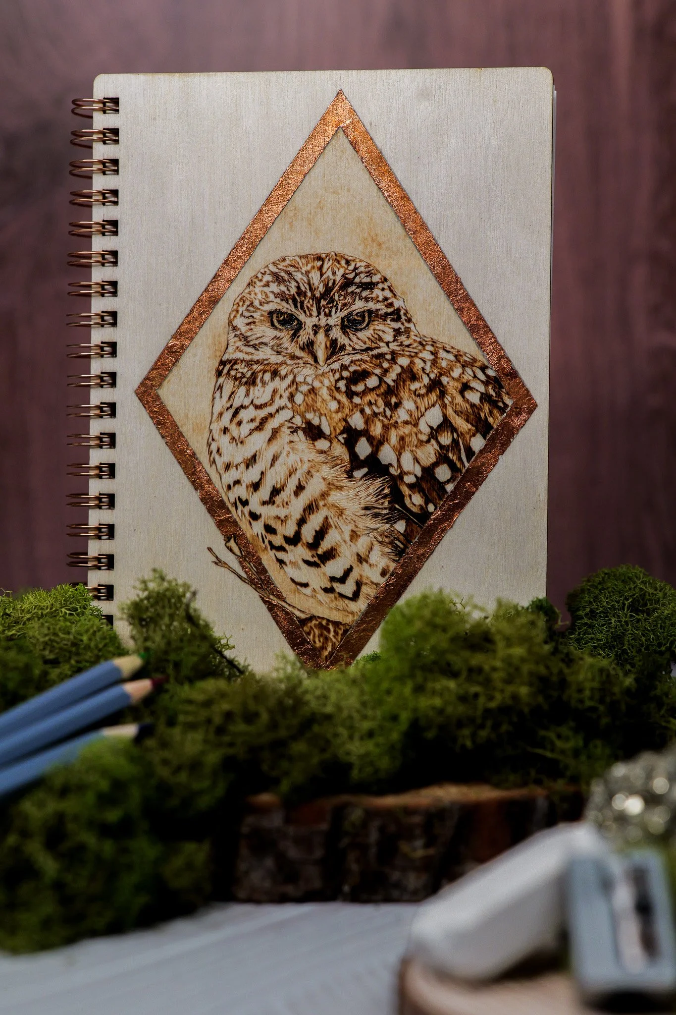 Burrowing Owl Sketchbook