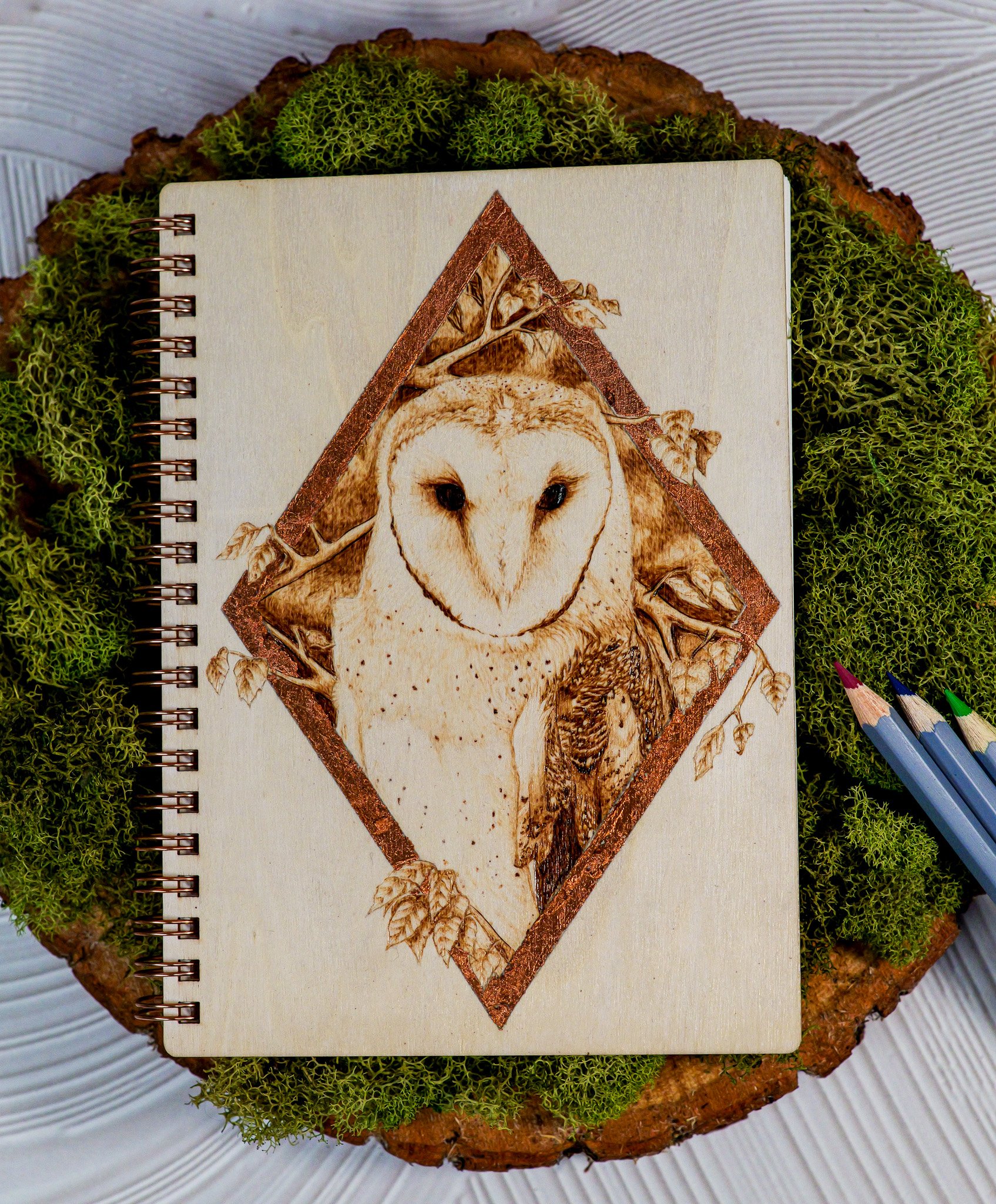 Eastern Barn Owl Sketchbook