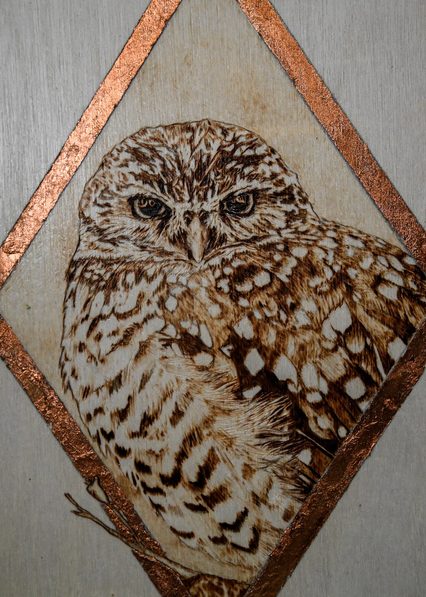 DSC_0065.jpg
