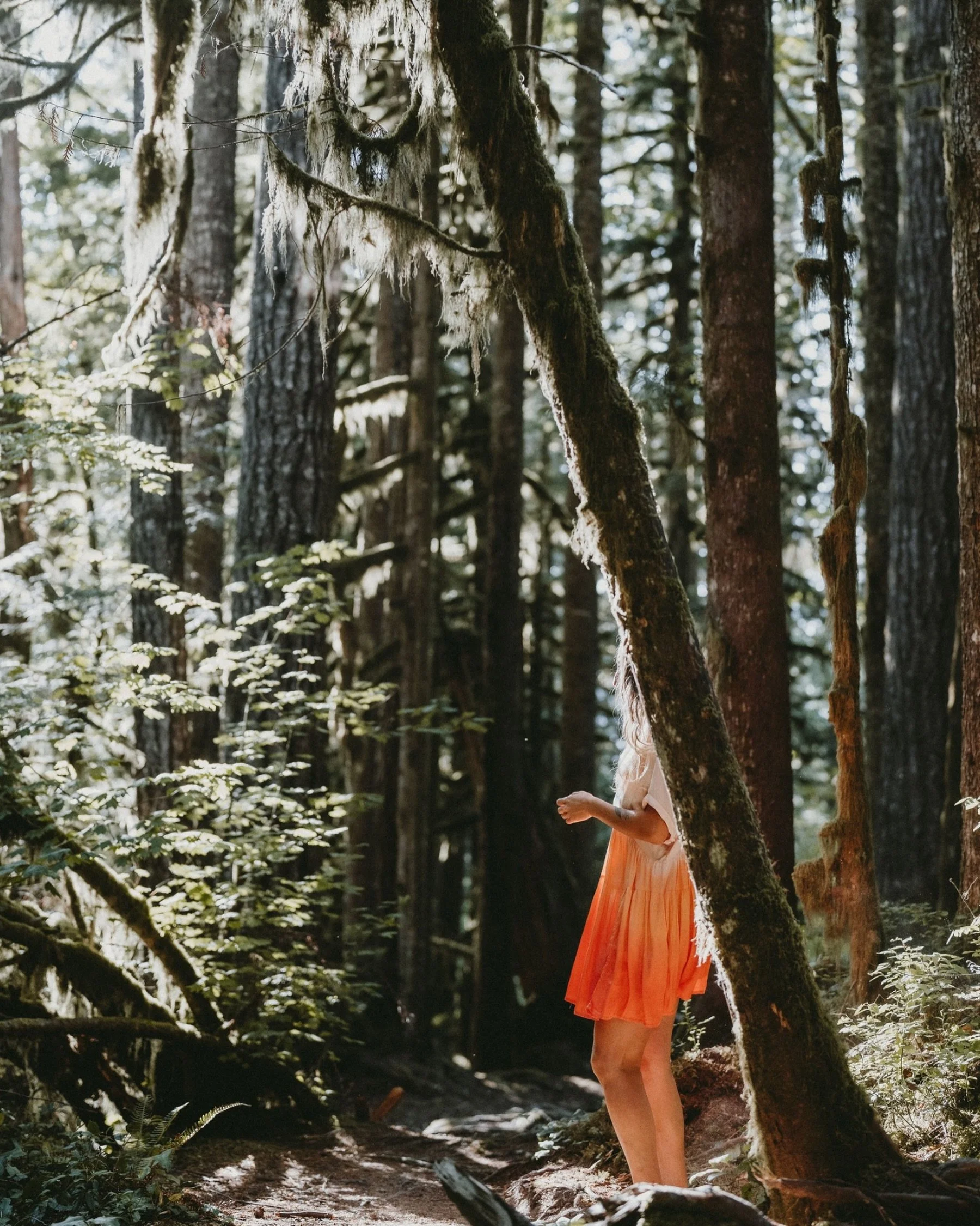 Who&rsquo;s behind the tree?
Me!

I like this photo more since dieting with the plants.
As I look at it, I seem relaxed. The tree has taken off my head, and I imagine I&rsquo;m in my heart.

This is how the plants have been teaching me to work with o