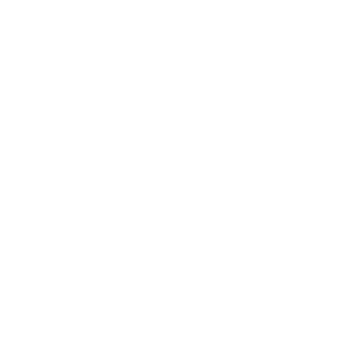 Sacred Mirrors Wellness