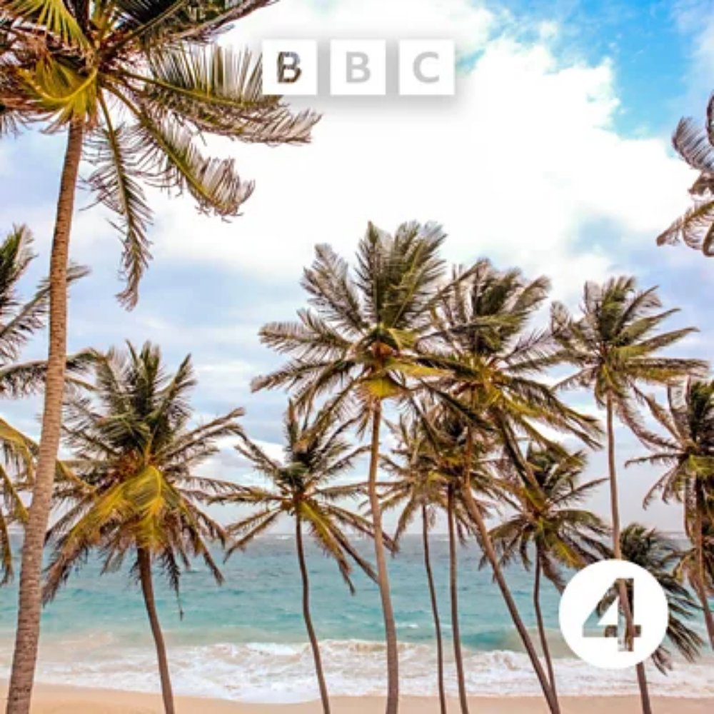 Tropical beach with tall palm trees, ocean waves, and partly cloudy sky, showing a BBC logo and a number 4.