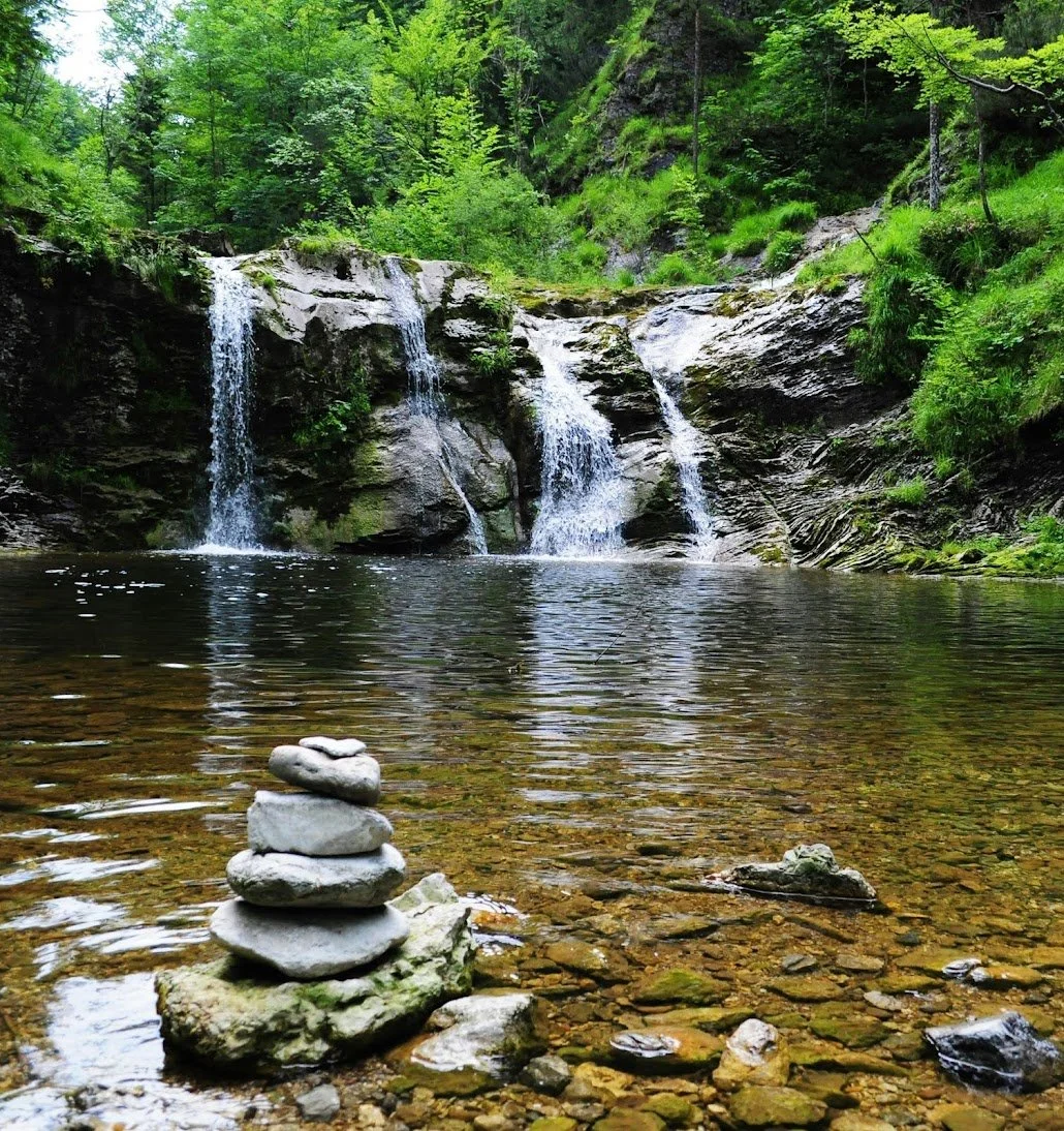 A peaceful creek with a small waterfall surrounded by lush green trees and moss-covered rocks.