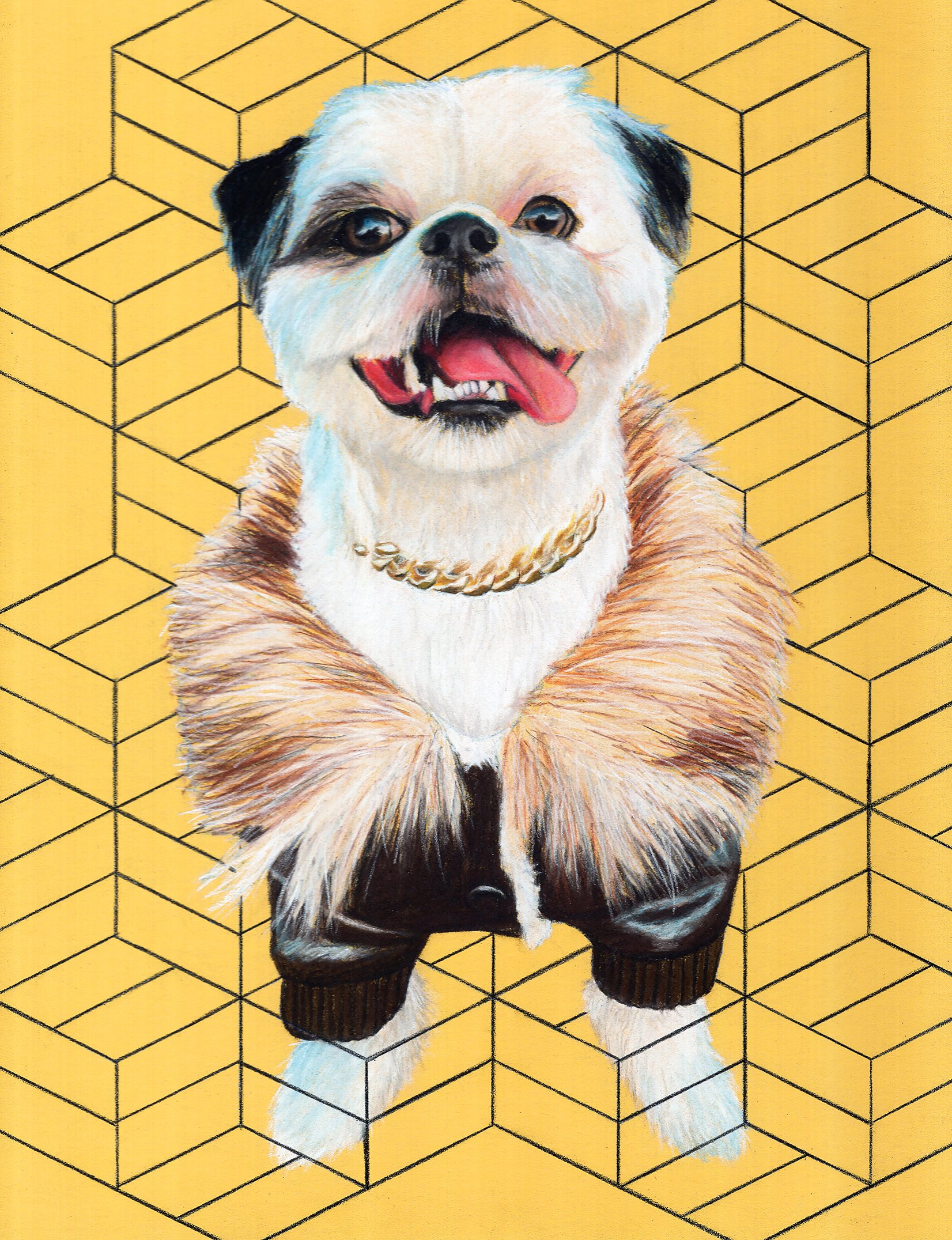 dog portrait.jpg