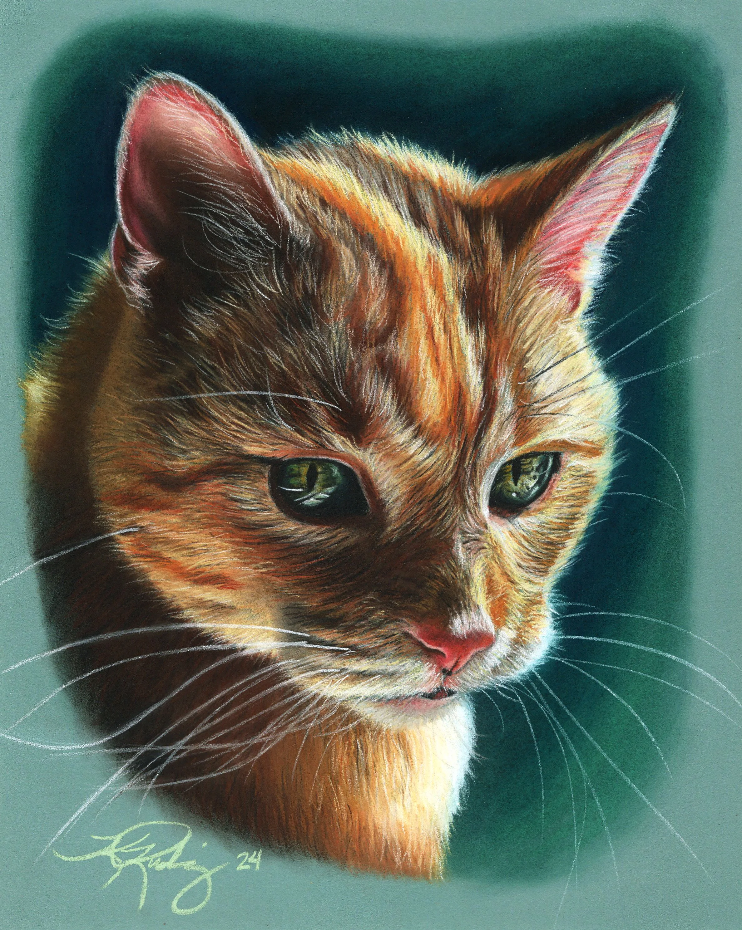 Pet Portraits