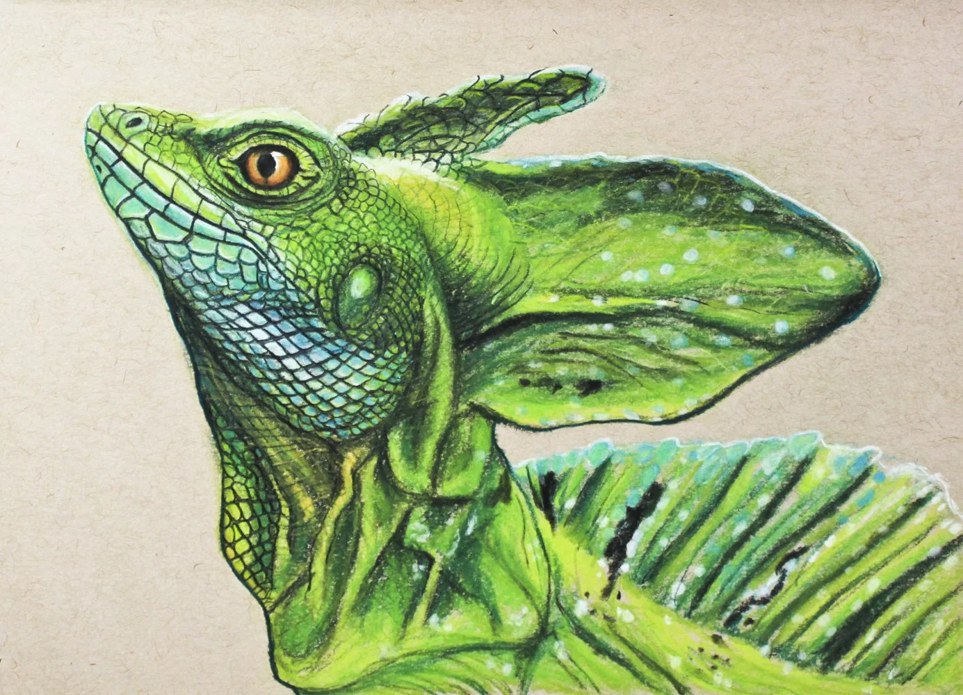 basilisk6.5x9.jpg