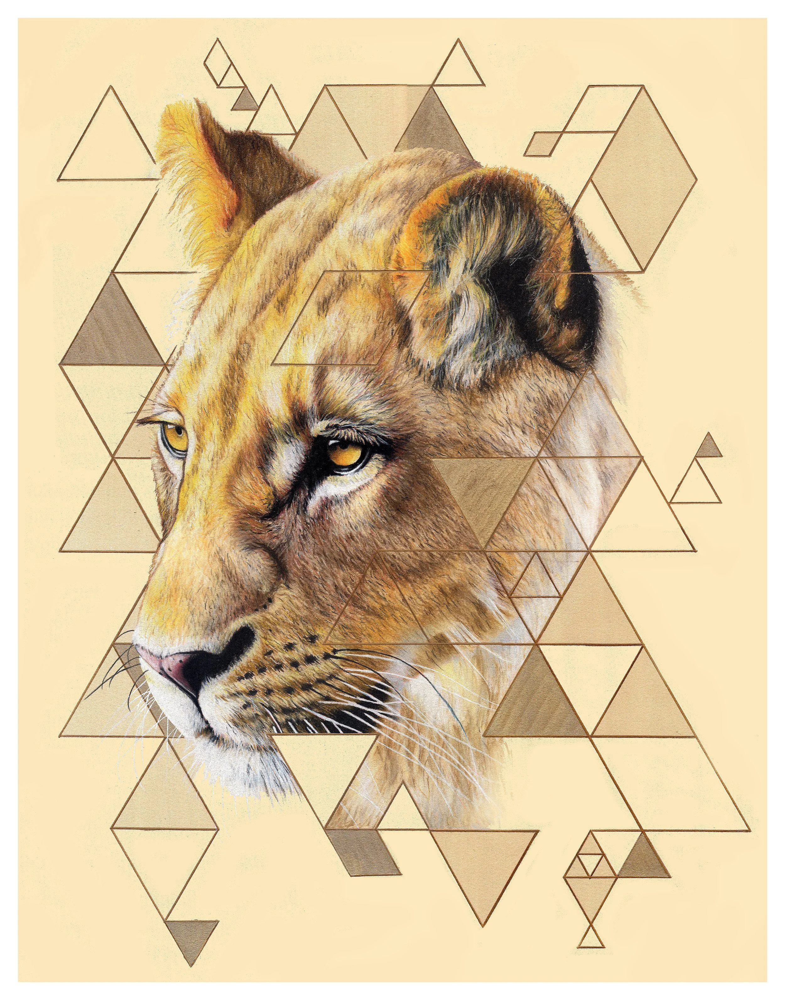 lion 11x14.jpg