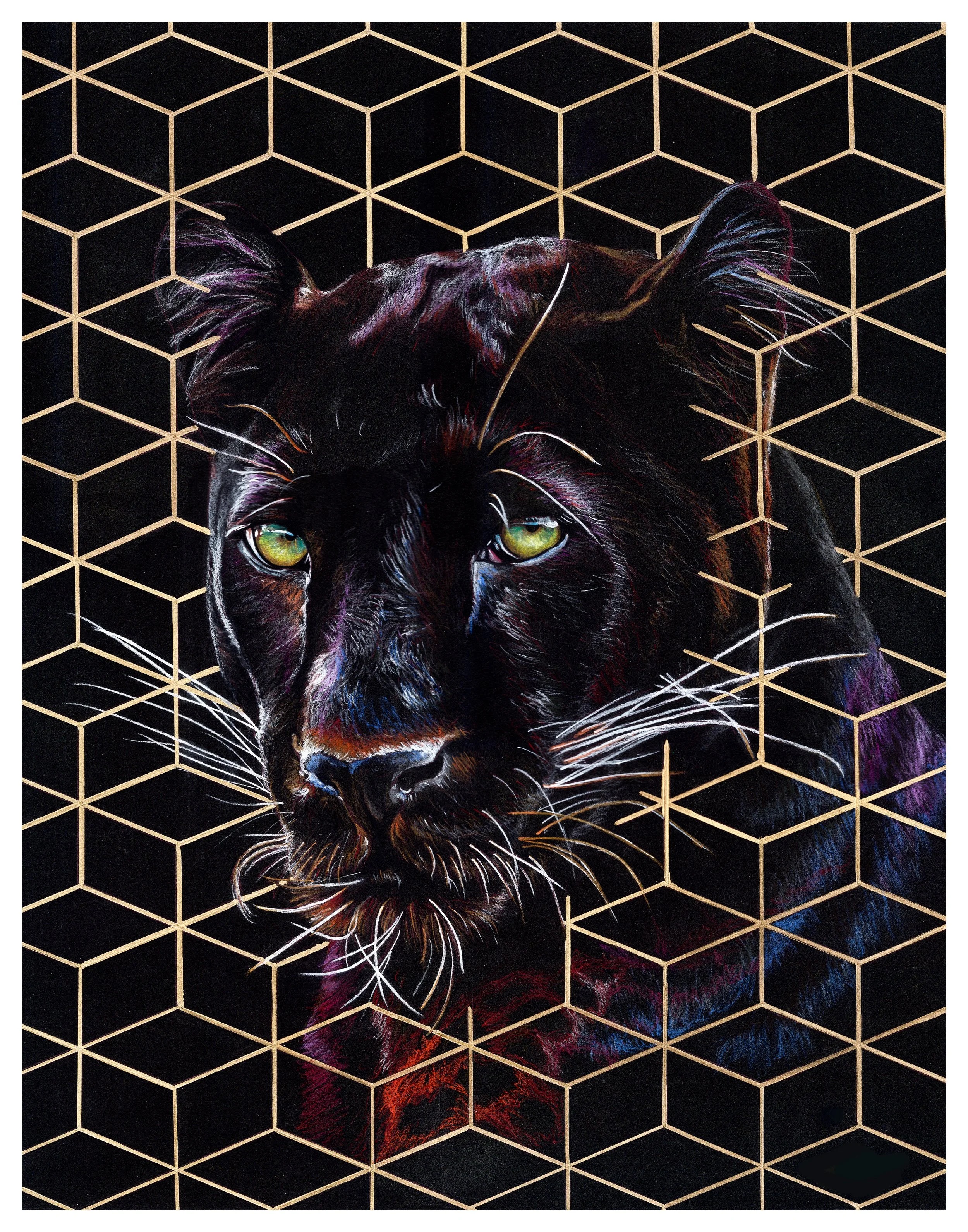 panther 11x14.jpg