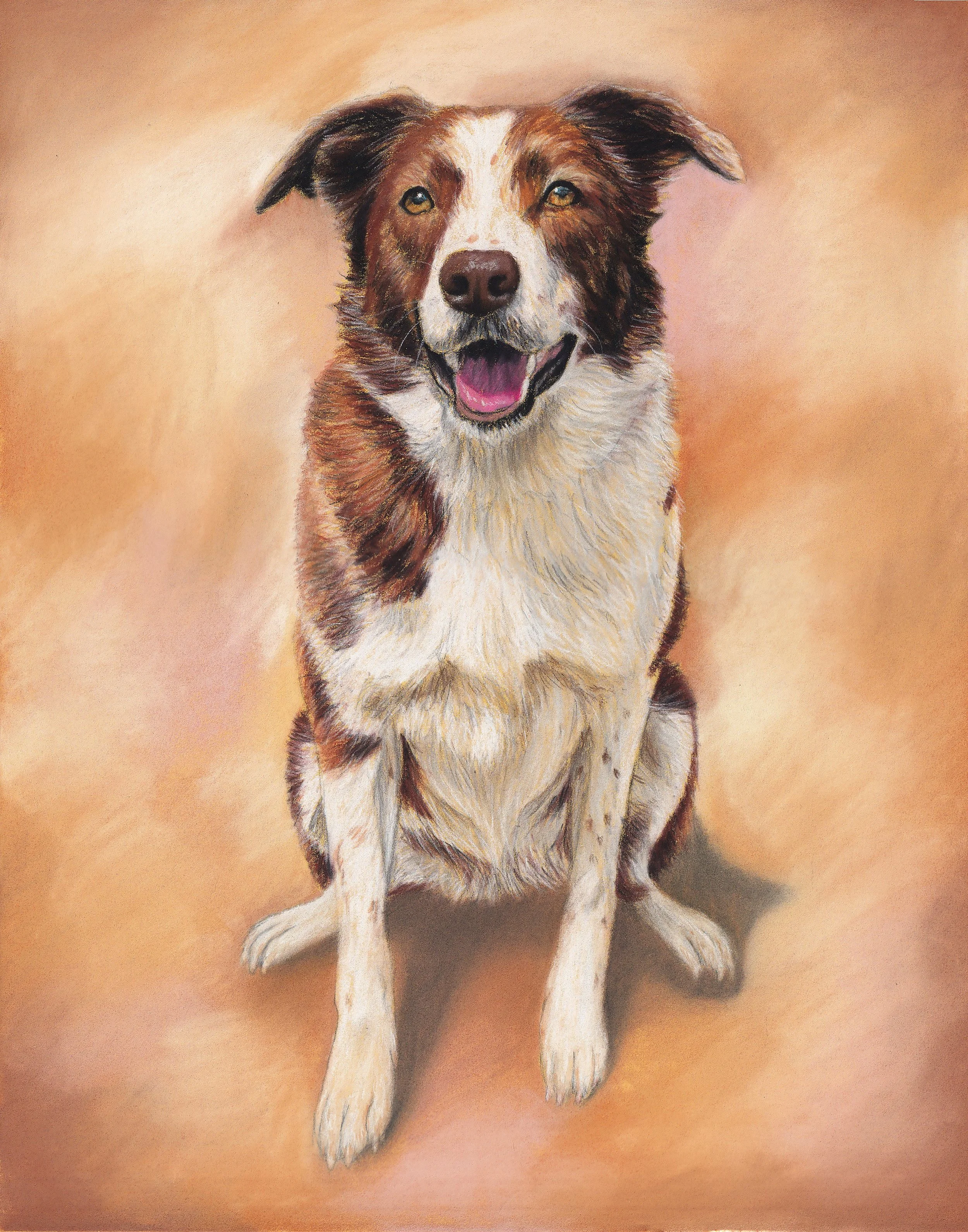 dog com.jpg