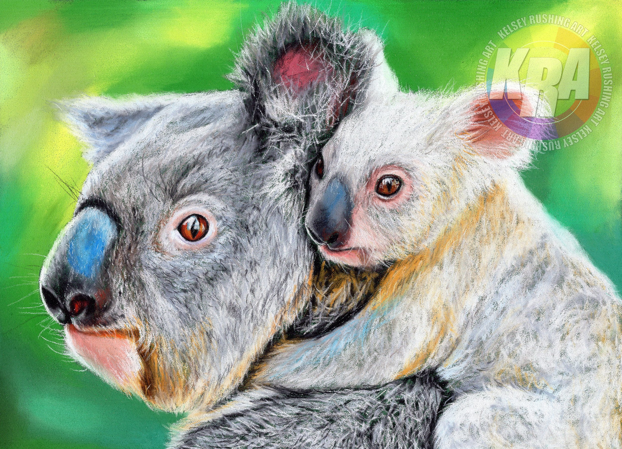 koalas 2.jpg