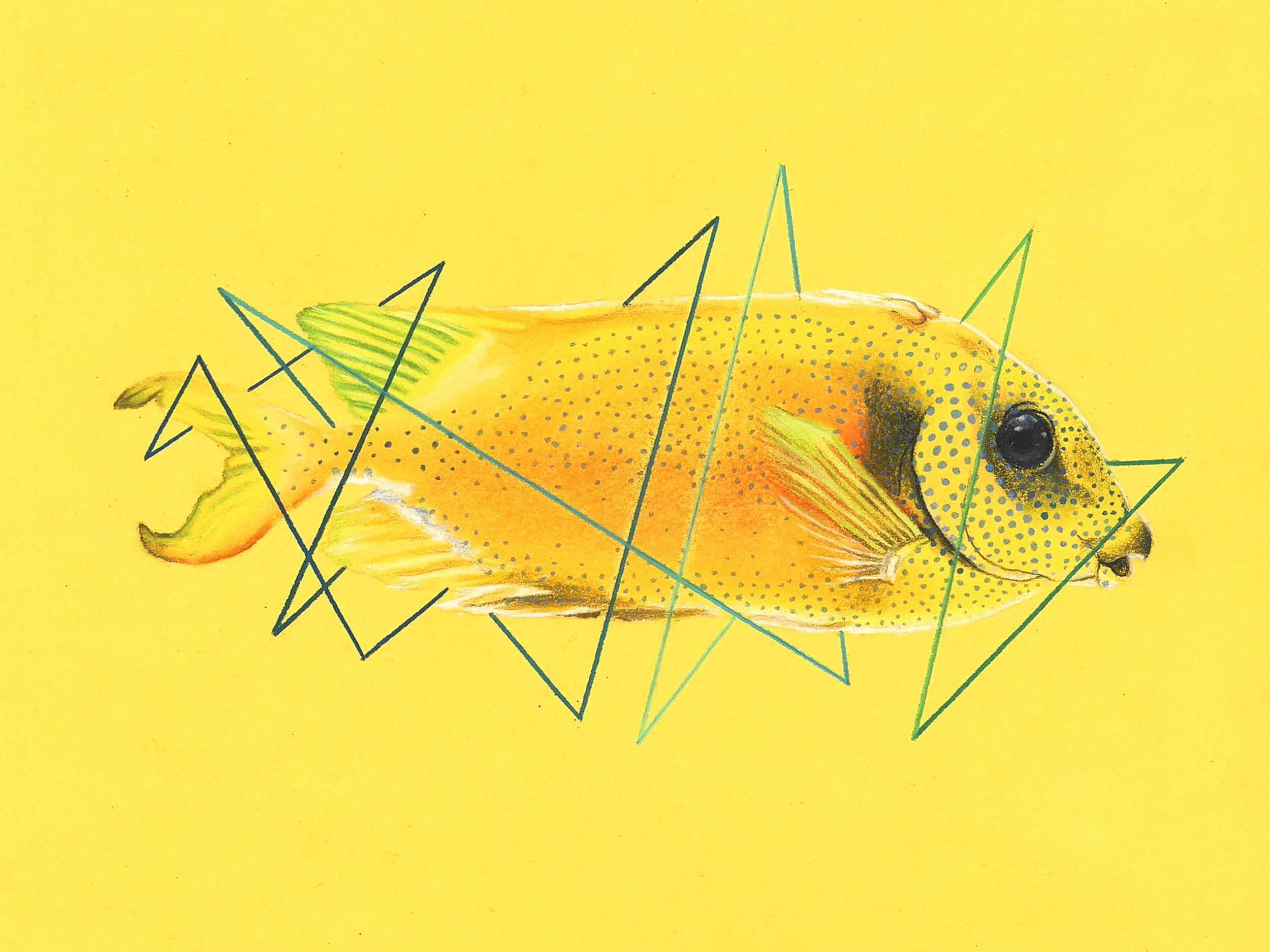 fish as Smart Object-1.jpg