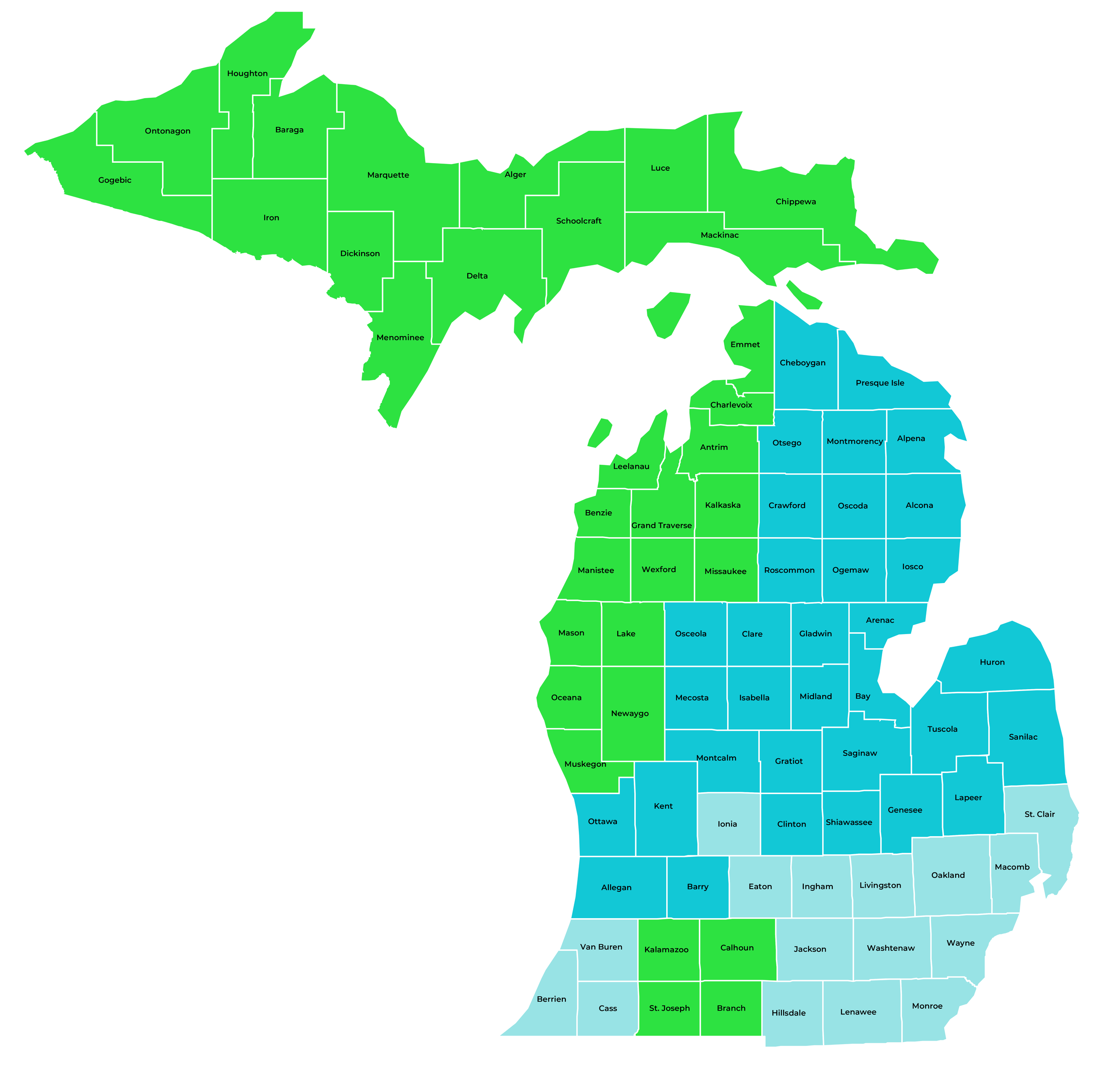 Color coded map of Michigan counties, with green counties corresponding to Tracy Tomaszewski, dark blue to Daniel Droste, and light blue to Madi Opperthauser