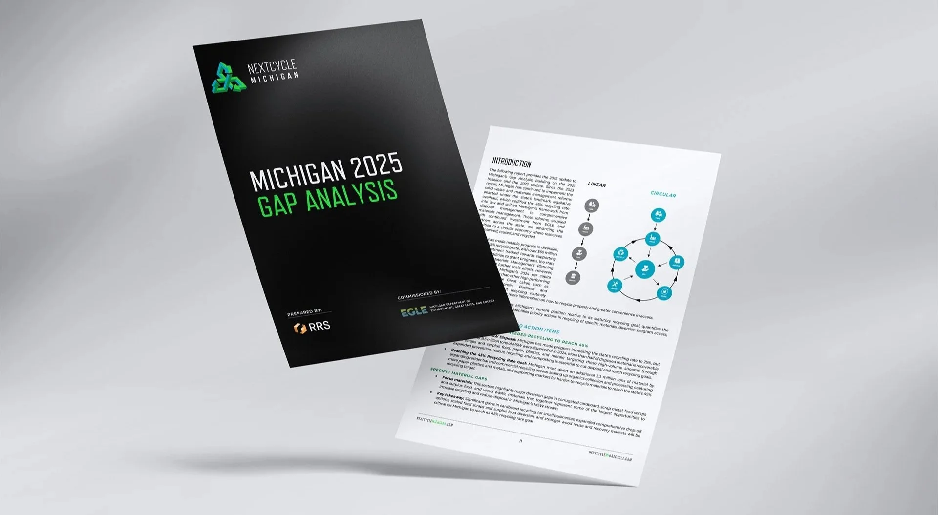Screenshots of the Gap Analysis Report pages