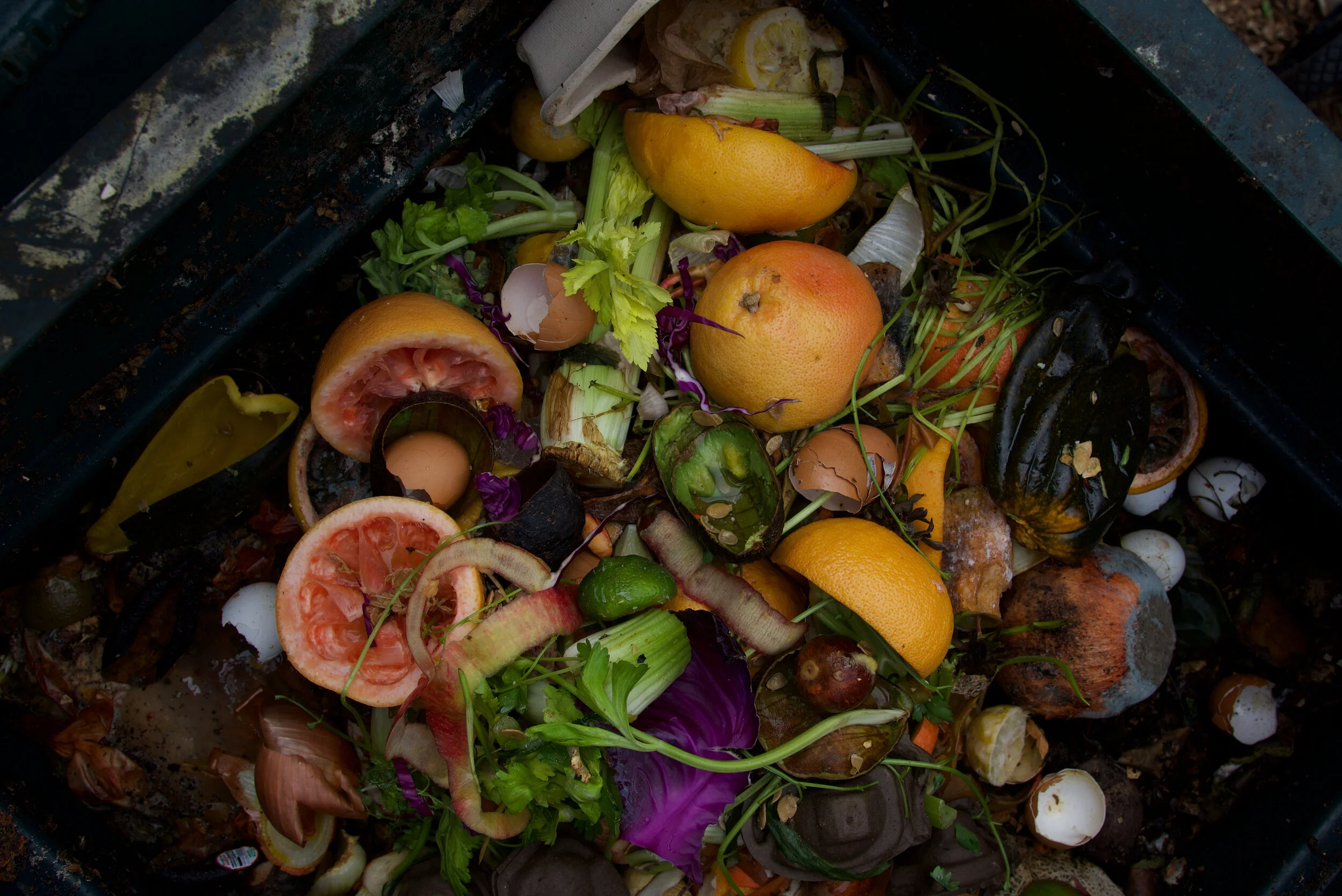 Sowing the Future of Food Scrap Recycling: Best Practices from Emmet County’s Commercial Food Scrap Program