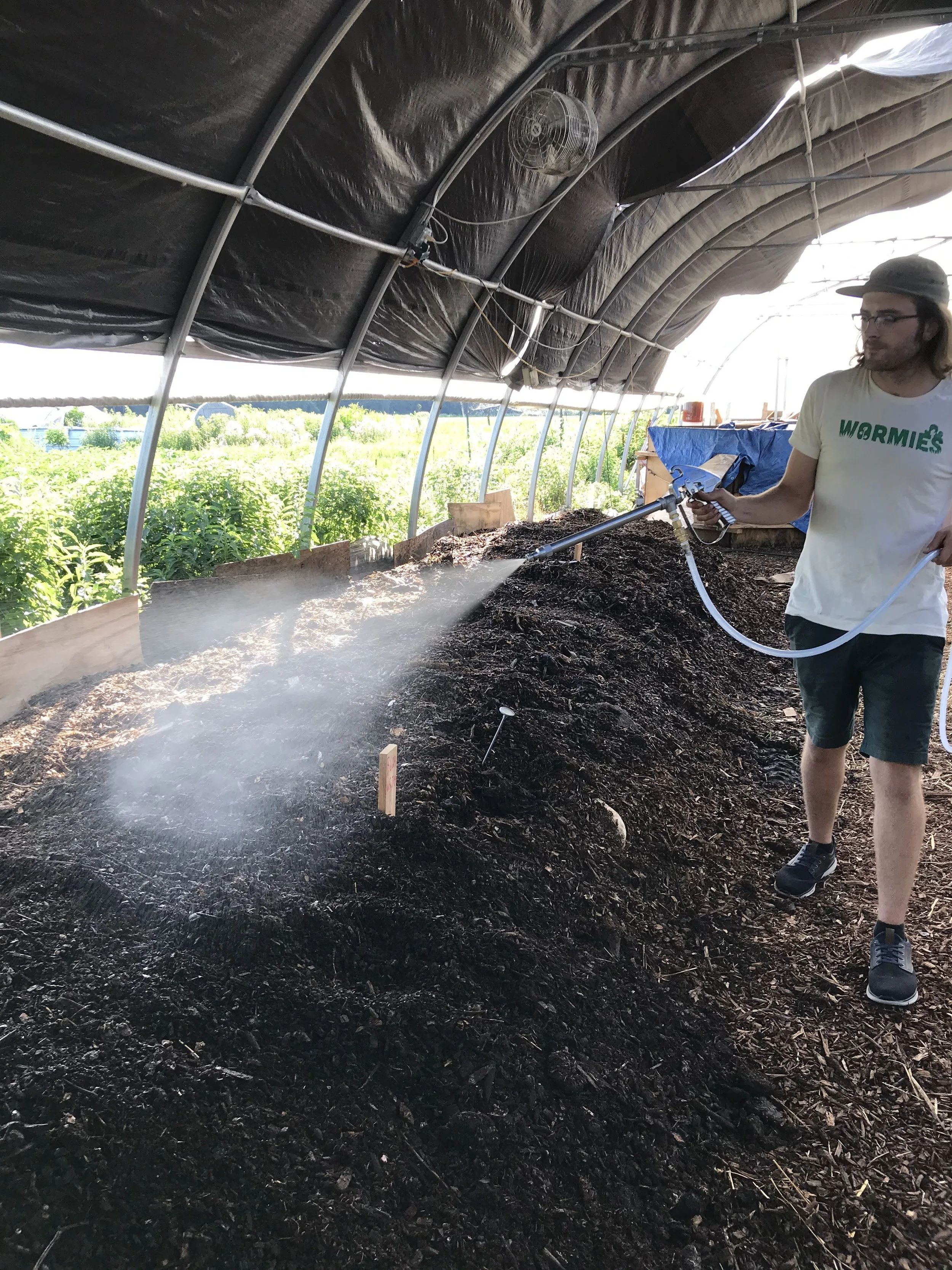Person Watering windrow in hoop house.jpeg