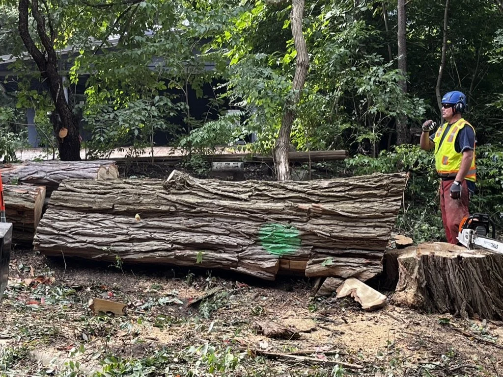 Urban Ashes Redirects Wood Waste