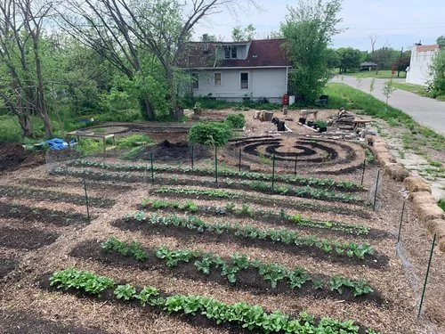 Sanctuary Farms | Detroit, MI