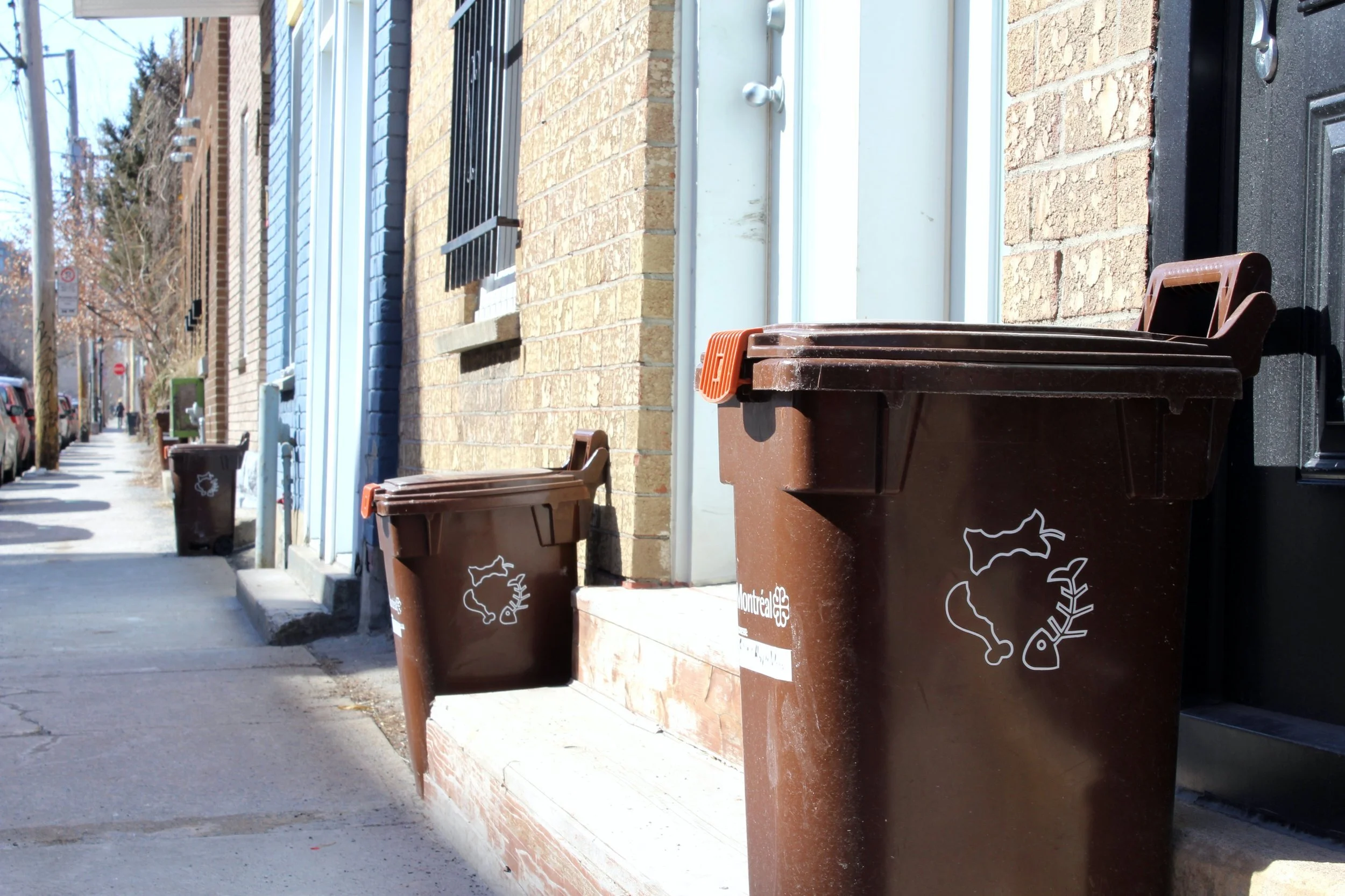 Organicycle | Grand Rapids, MI