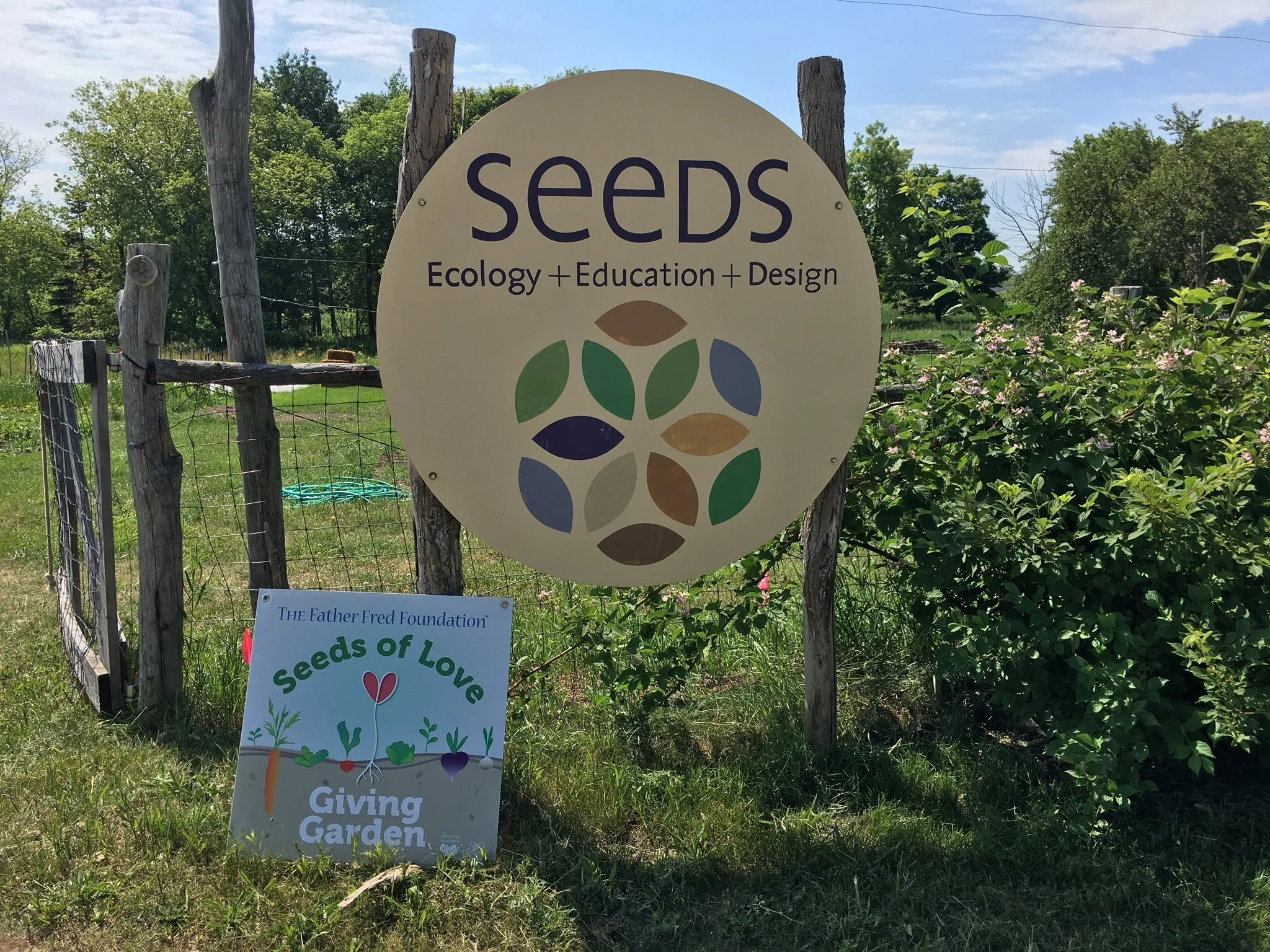 SEEDS | Traverse City, MI