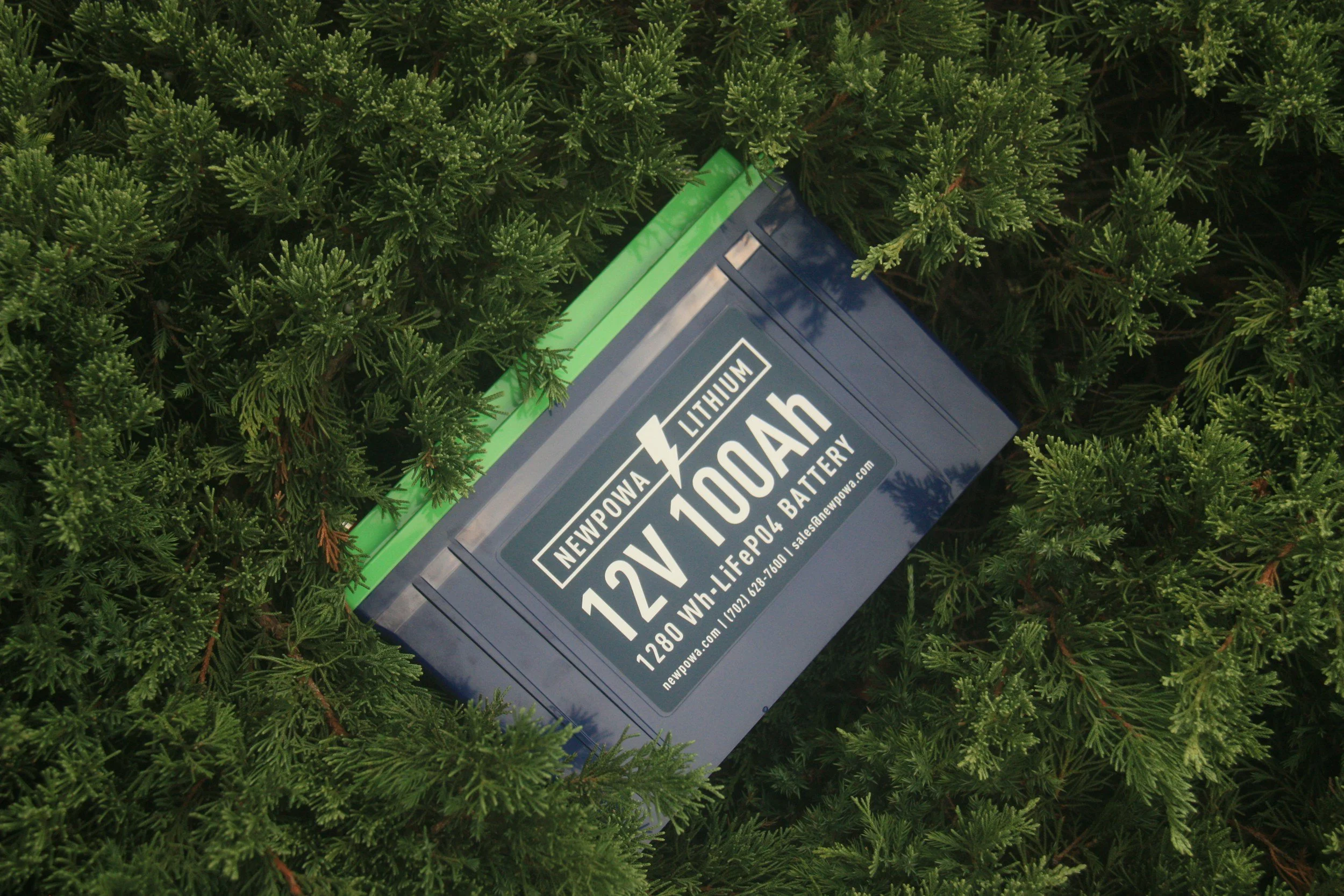 Car battery among pine needles